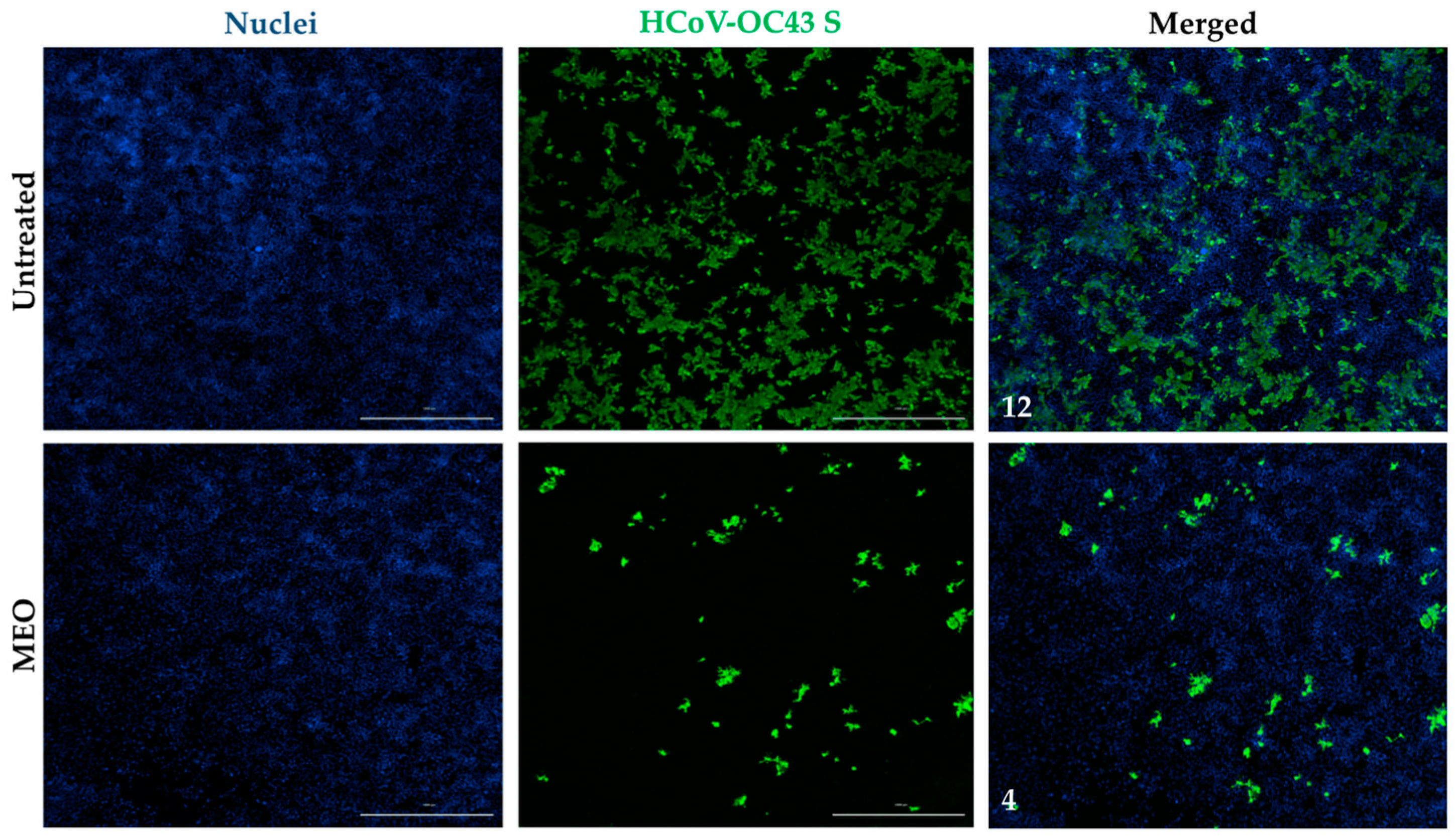 Pharmaceuticals 17 01189 g004 Pharmaceuticals 17 01189 g004