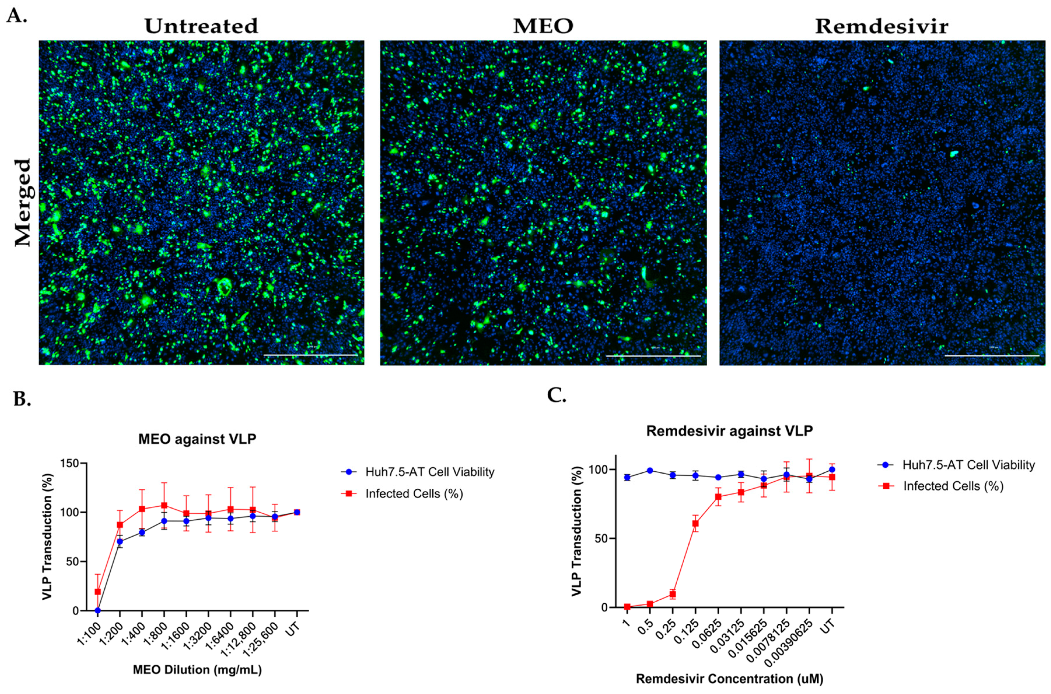 Pharmaceuticals 17 01189 g006 Pharmaceuticals 17 01189 g006