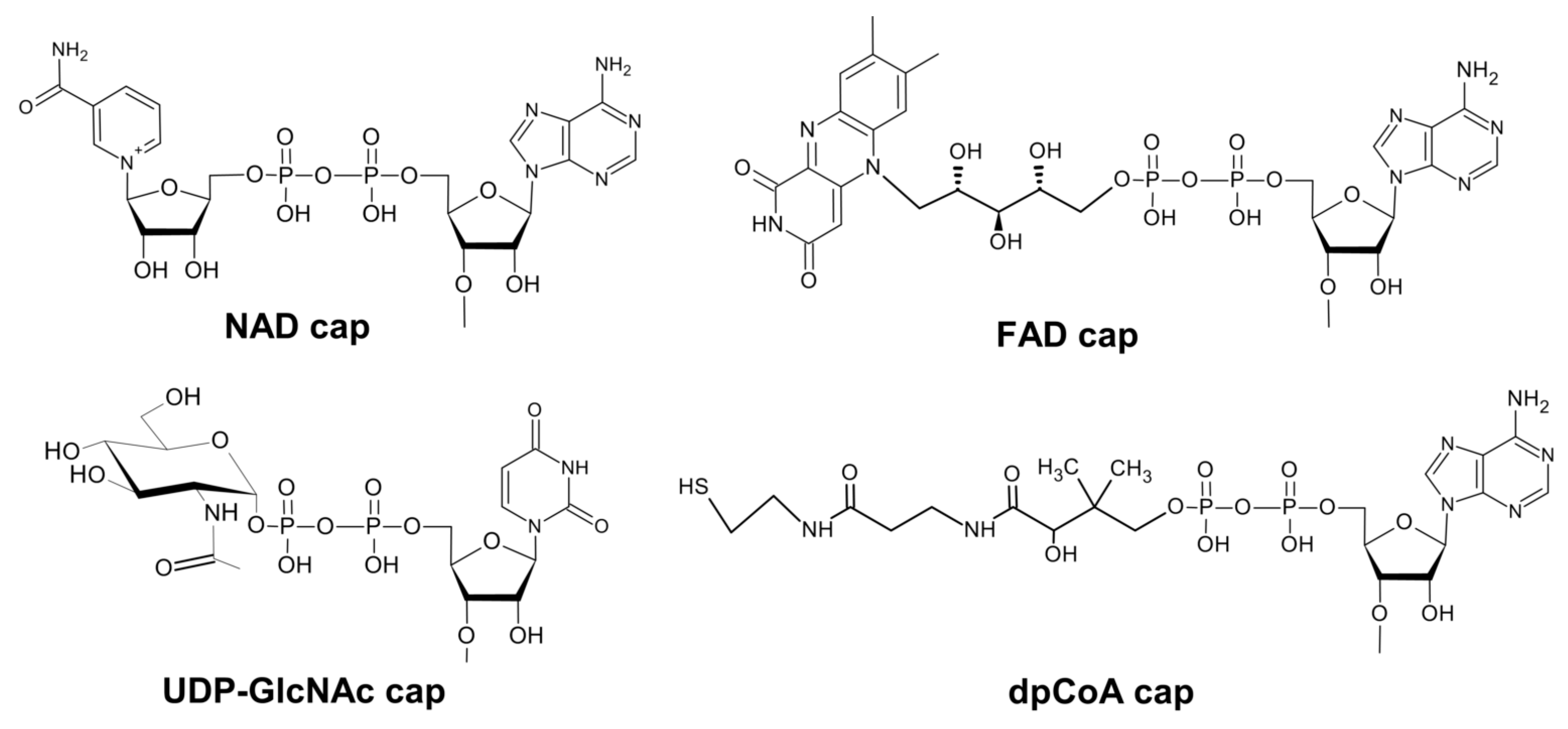 Pharmaceuticals 17 01195 g002