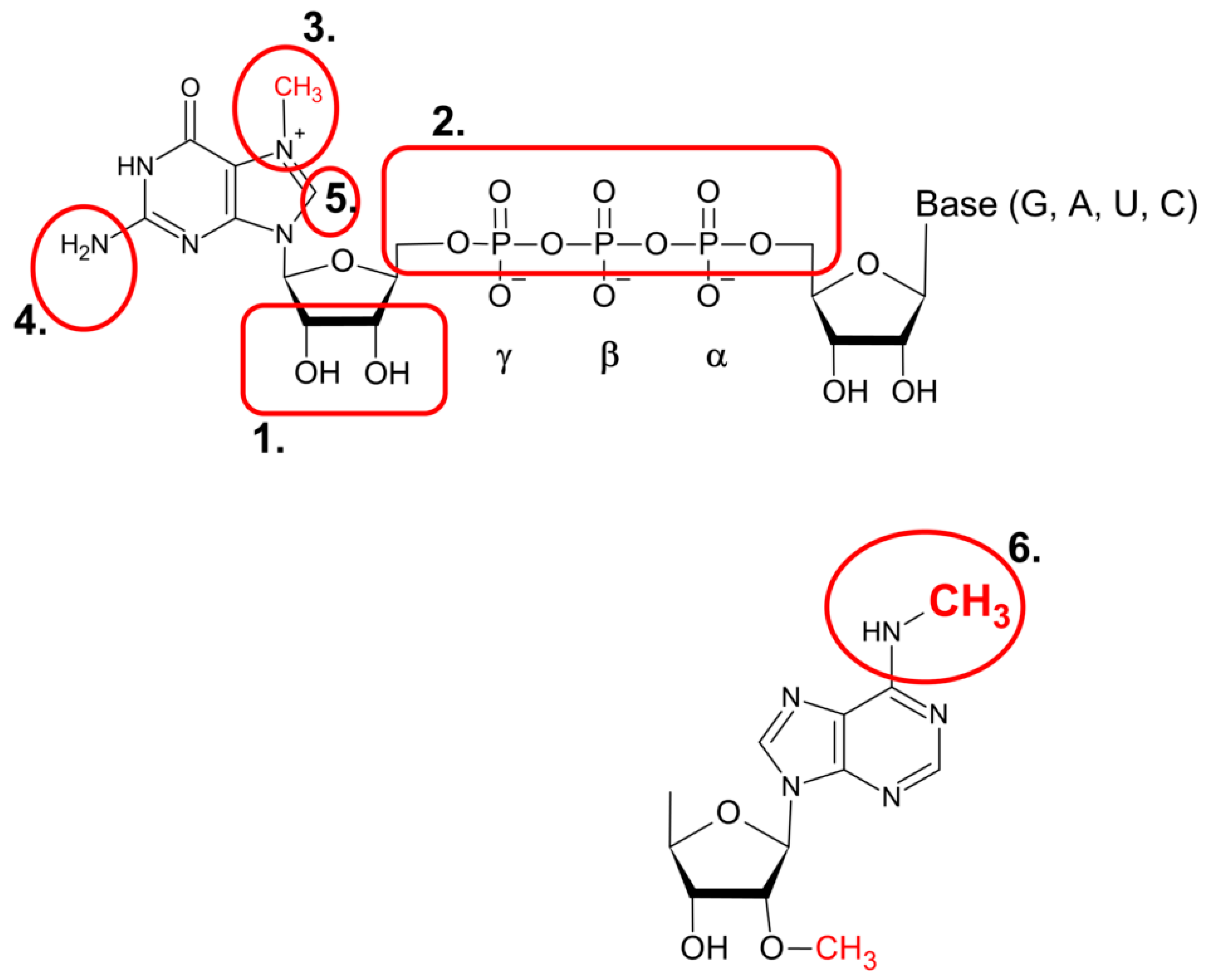Pharmaceuticals 17 01195 g004