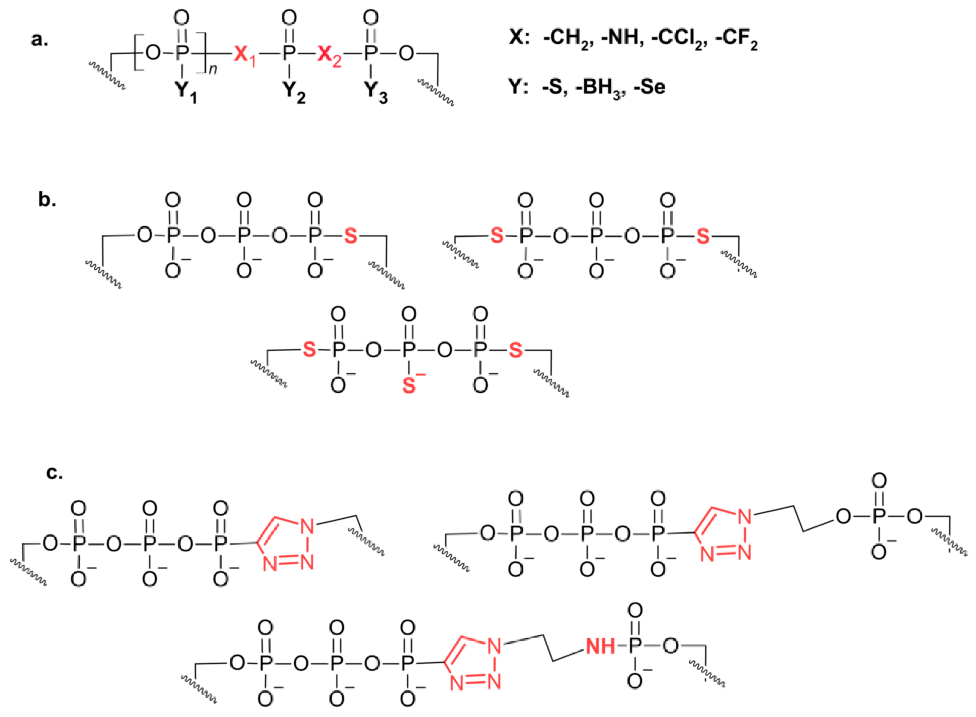Pharmaceuticals 17 01195 g005