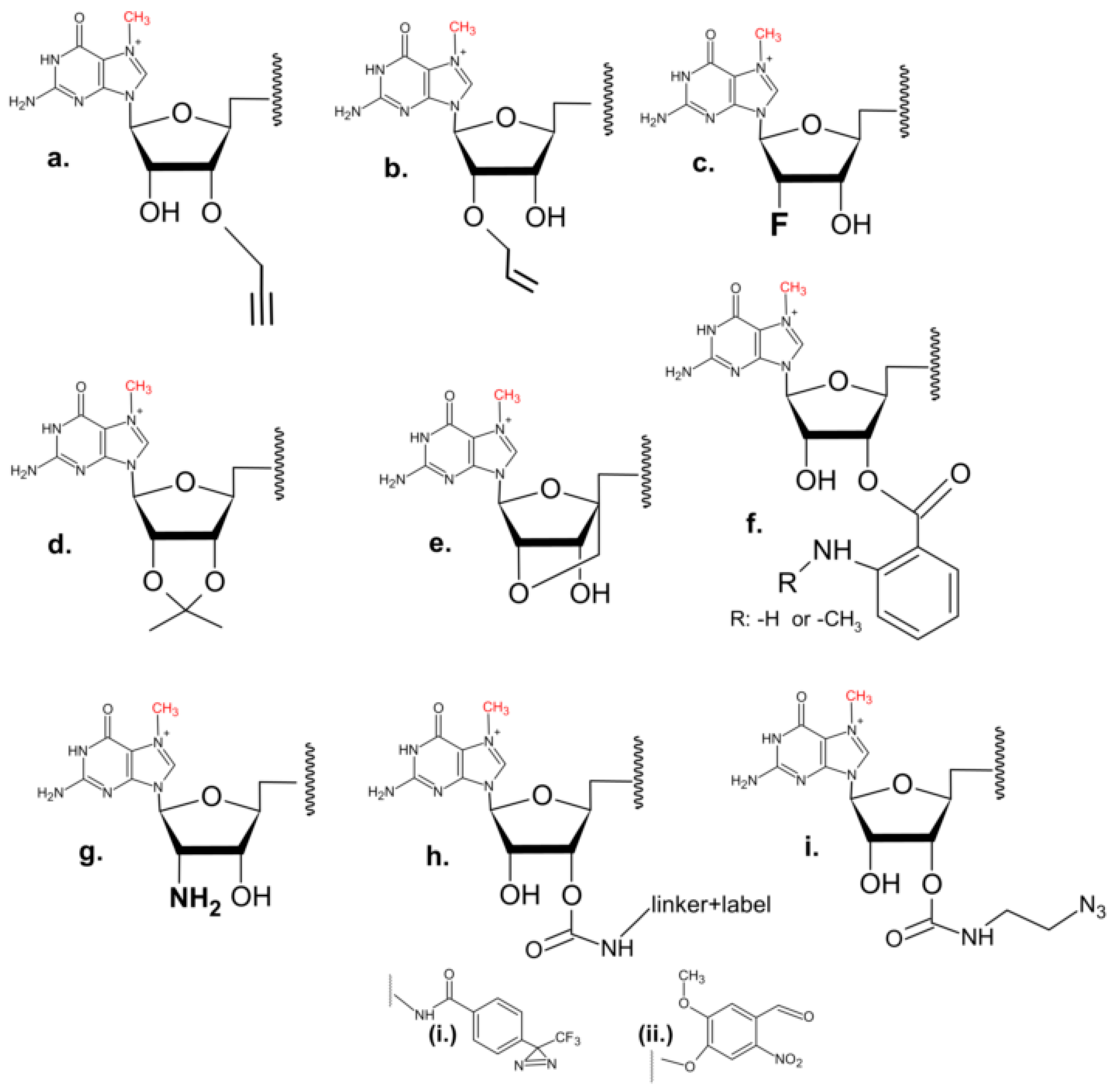 Pharmaceuticals 17 01195 g006