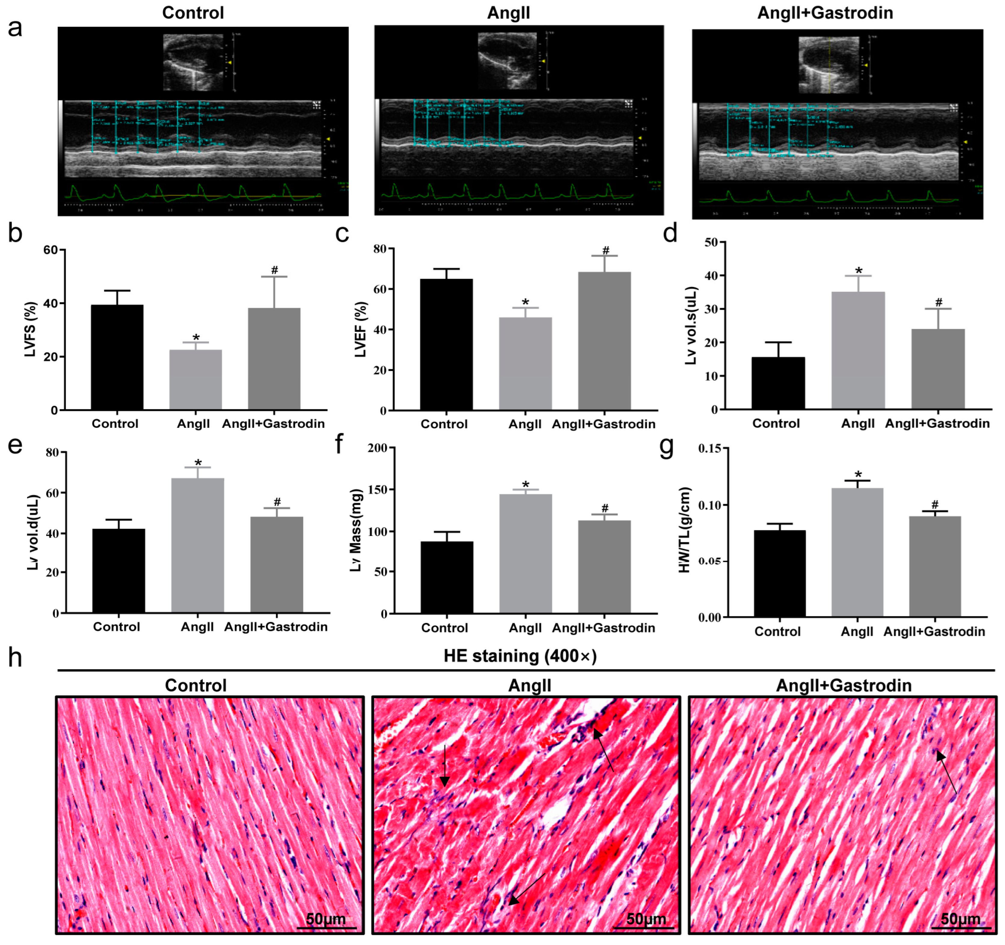 Pharmaceuticals 17 01200 g002