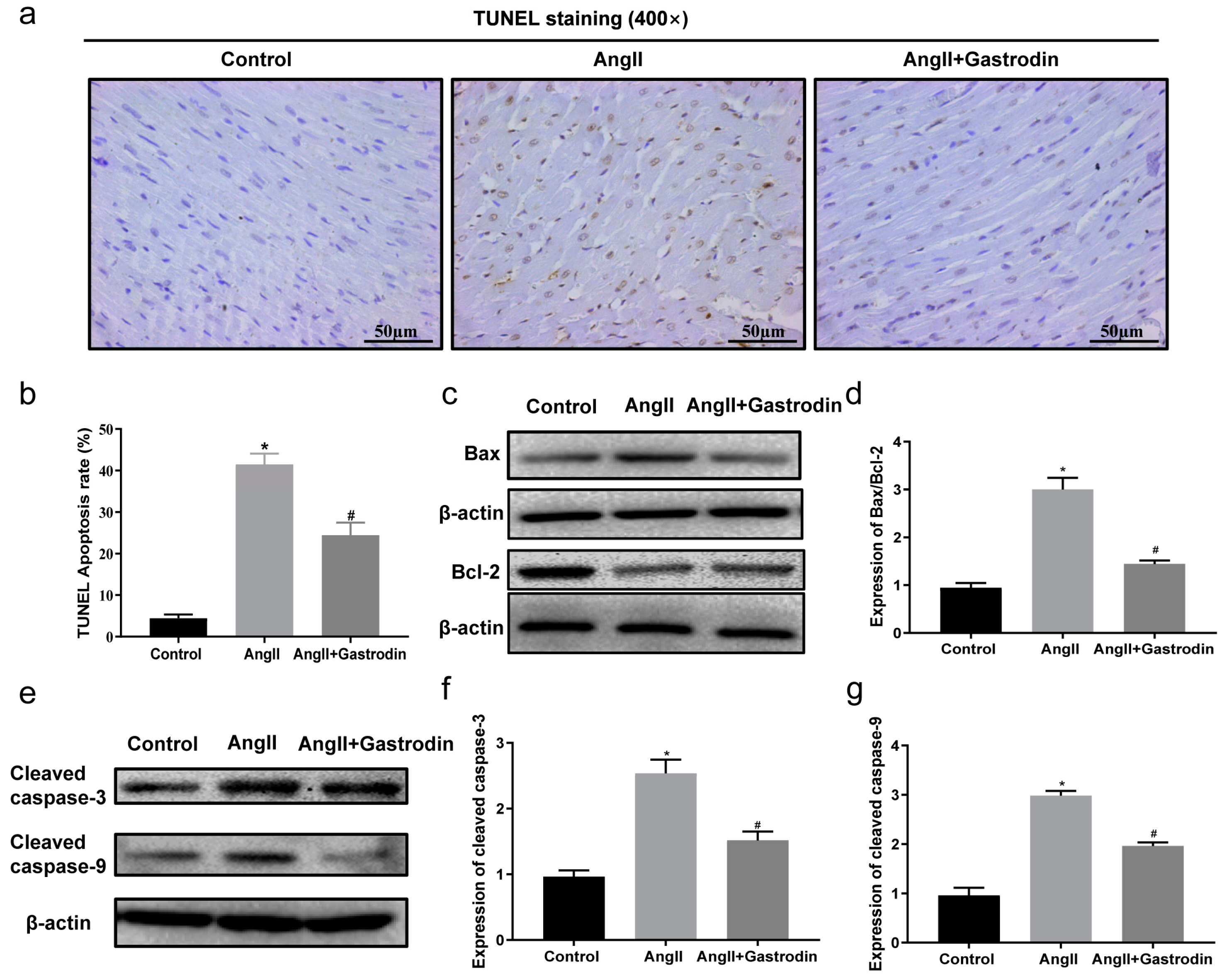 Pharmaceuticals 17 01200 g004