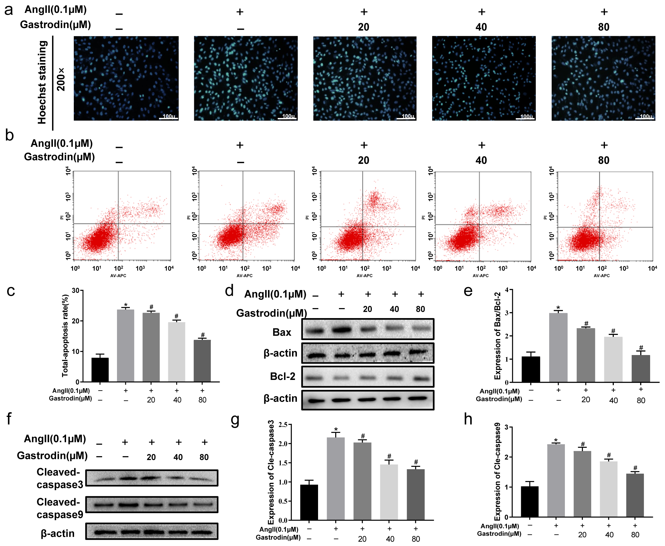 Pharmaceuticals 17 01200 g005