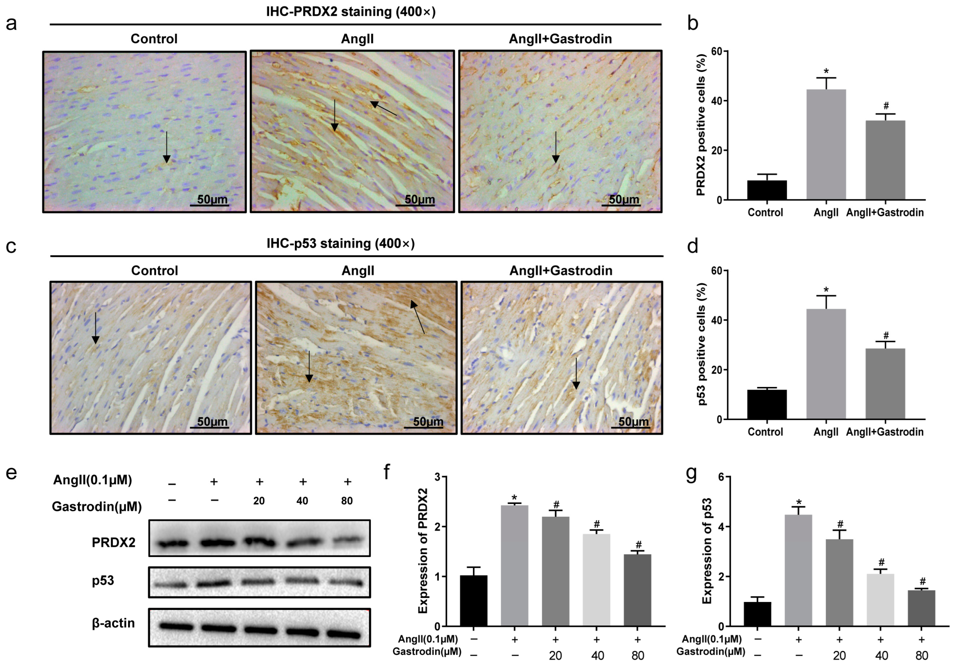 Pharmaceuticals 17 01200 g006