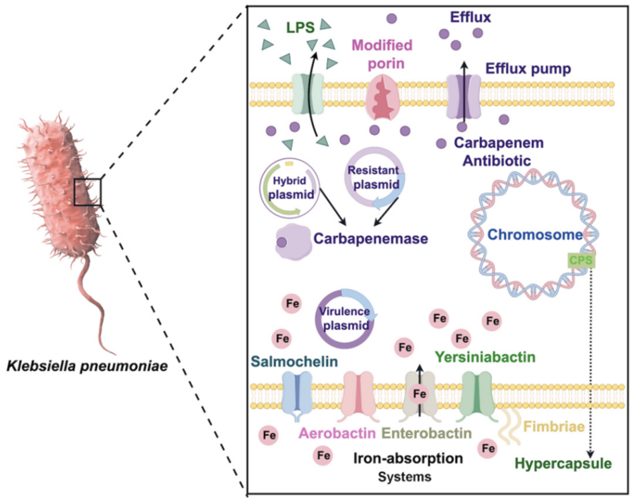 Pharmaceuticals 17 01206 g001 Pharmaceuticals 17 01206 g001
