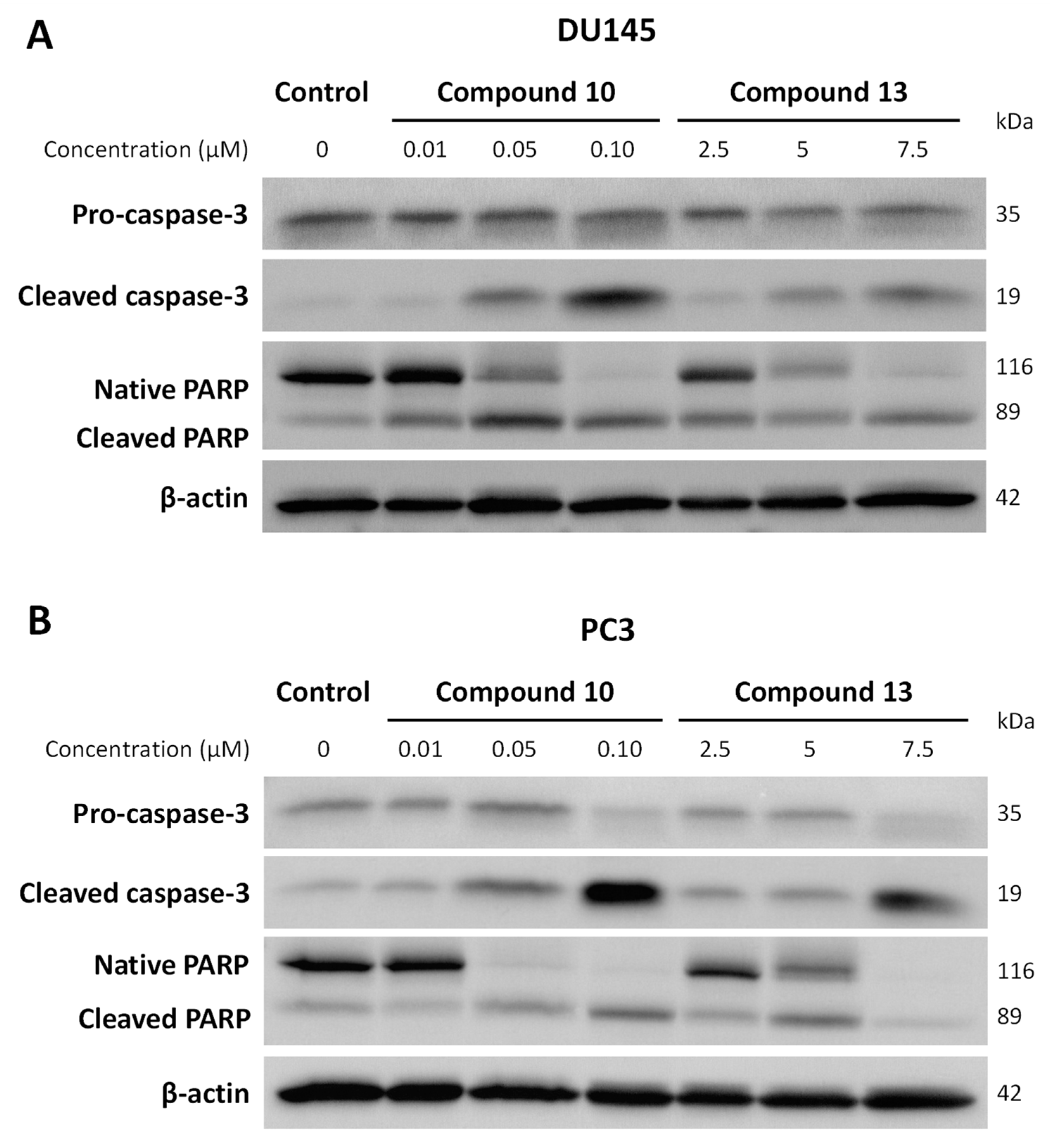Pharmaceuticals 17 01207 g011