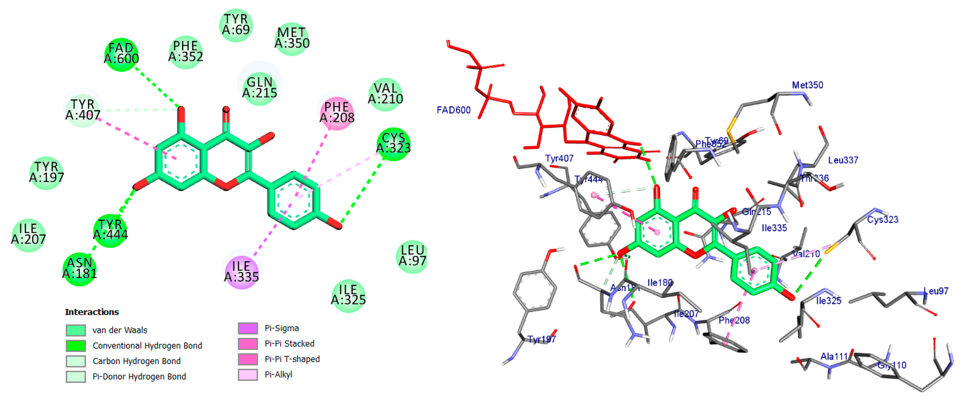 Pharmaceuticals 17 01208 g005