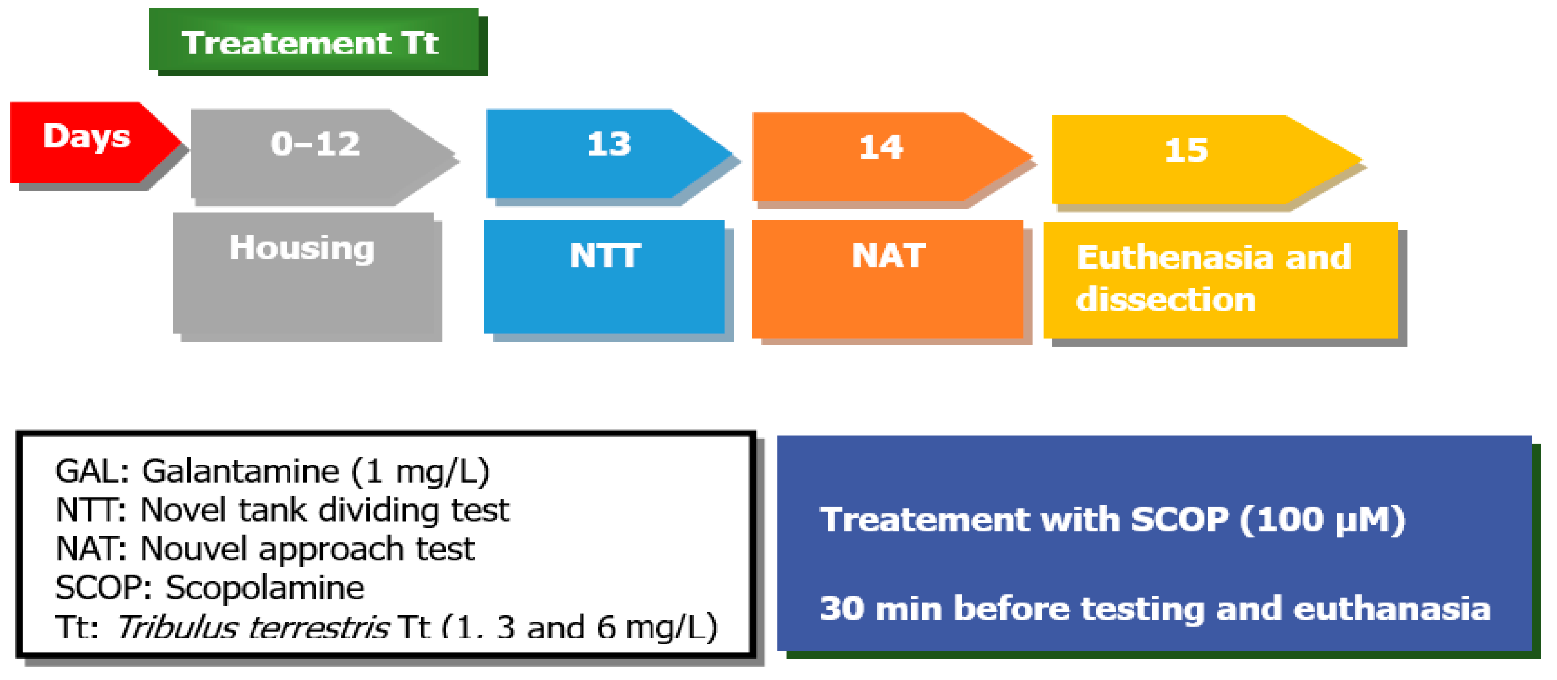 Pharmaceuticals 17 01208 g008