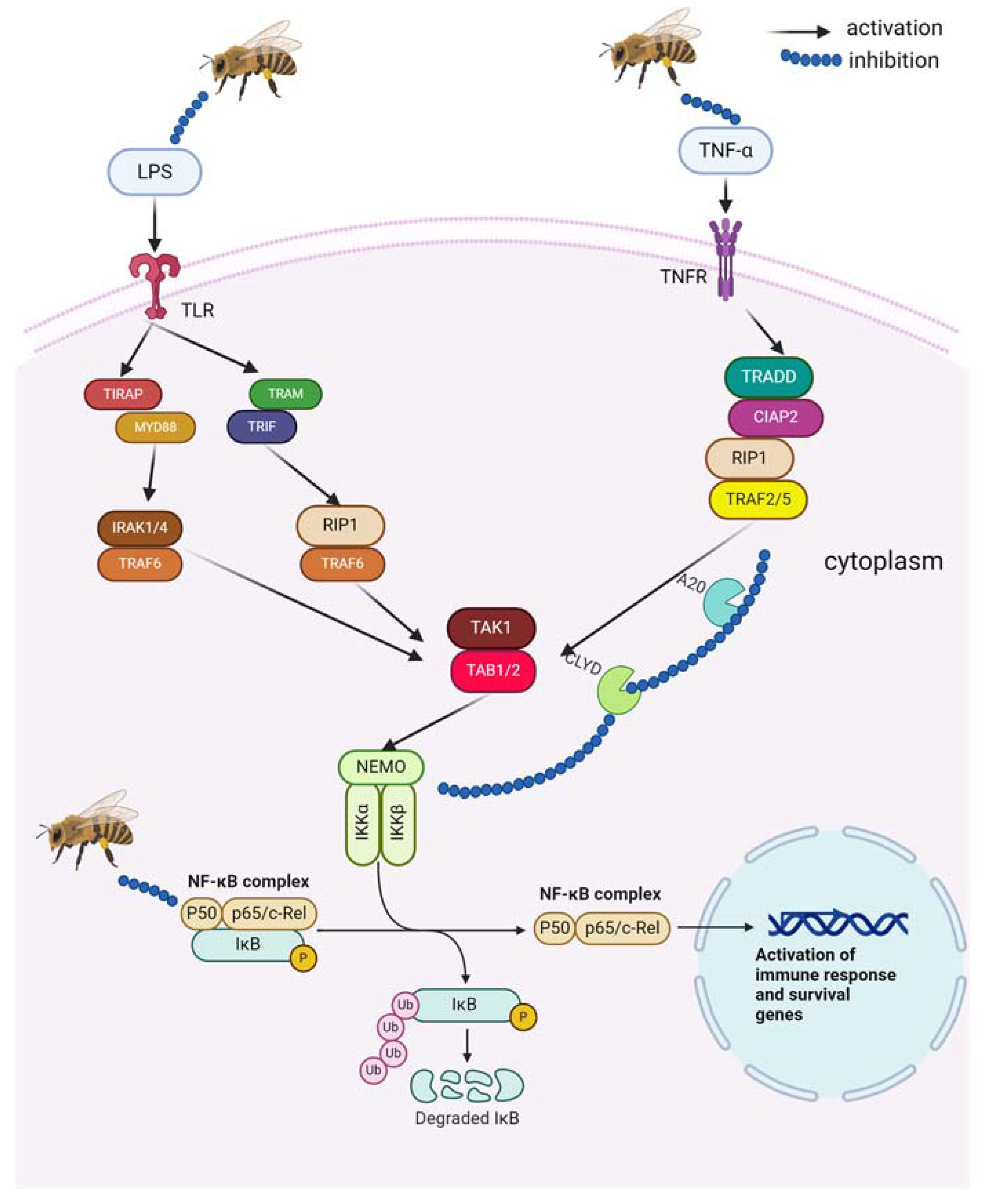 Pharmaceuticals 17 01211 g002 Pharmaceuticals 17 01211 g002