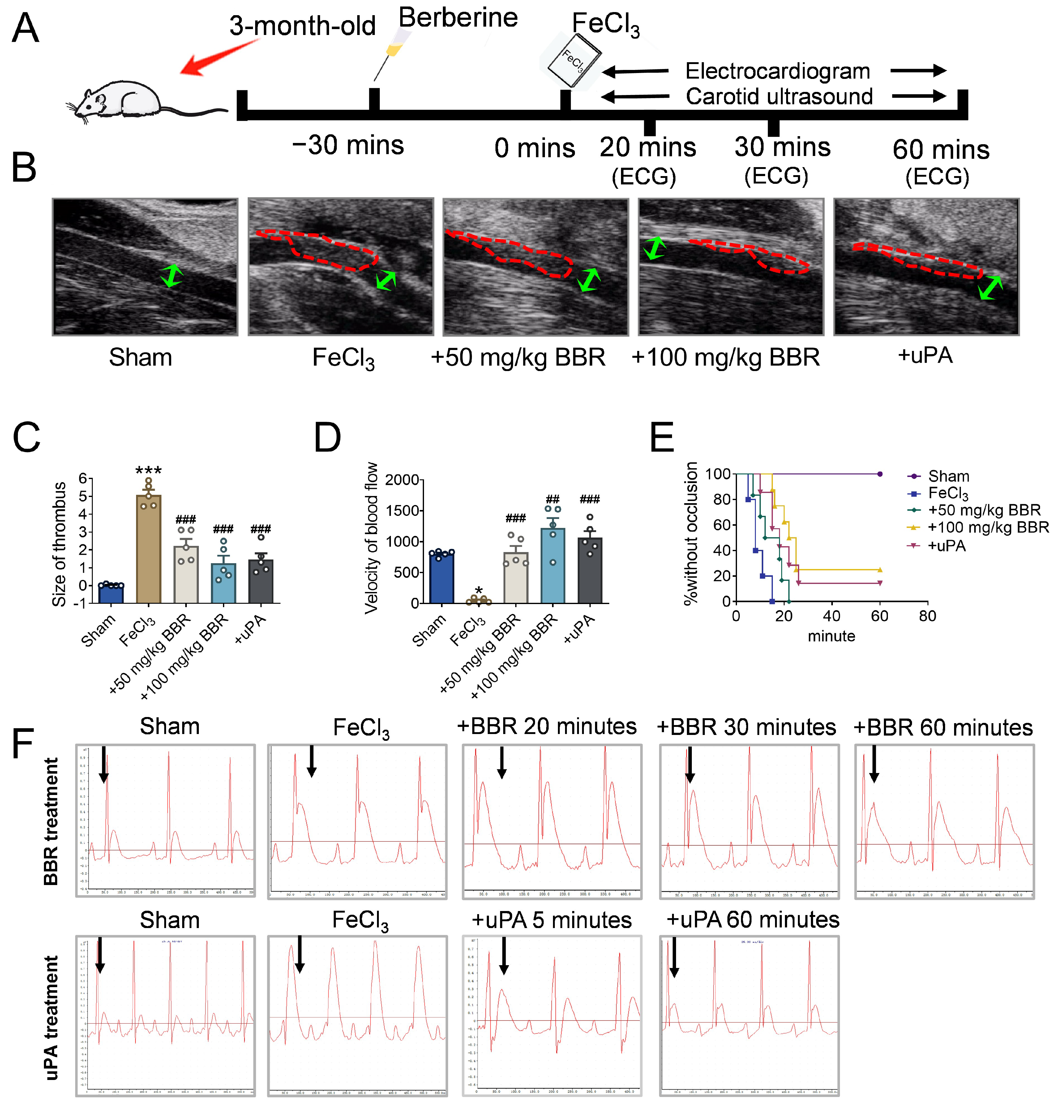 Pharmaceuticals 17 01219 g001 Pharmaceuticals 17 01219 g001