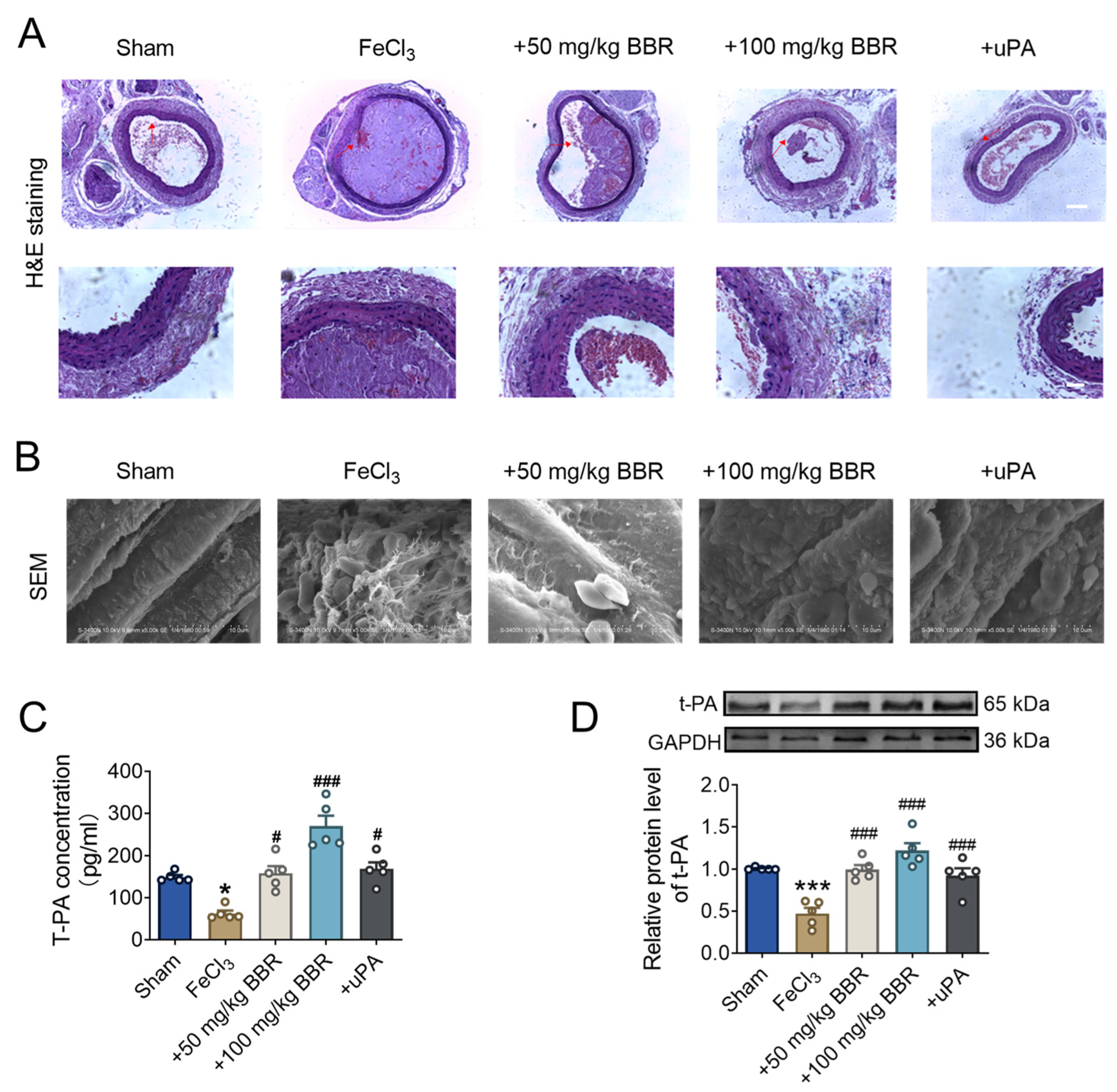 Pharmaceuticals 17 01219 g002 Pharmaceuticals 17 01219 g002