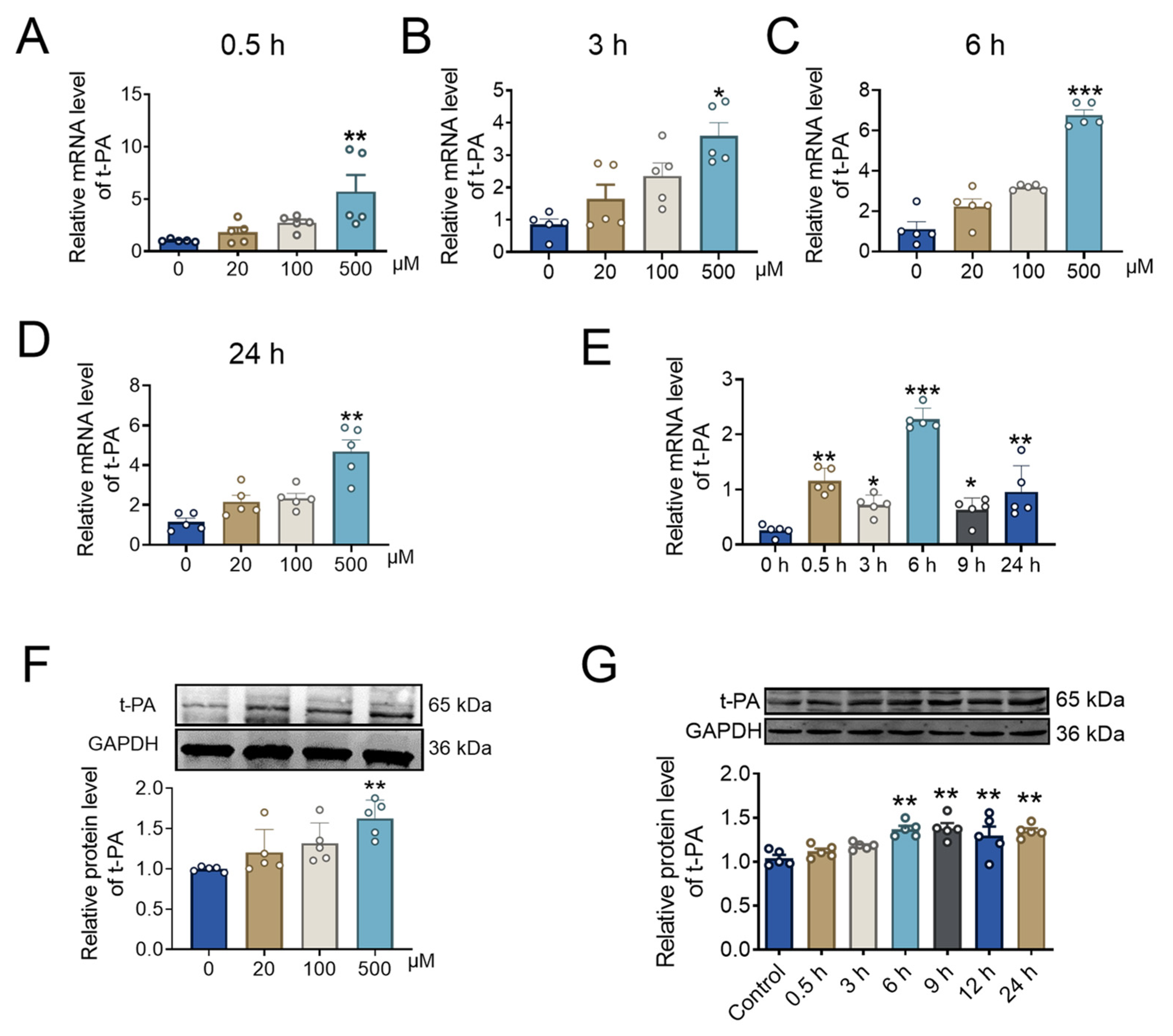 Pharmaceuticals 17 01219 g003 Pharmaceuticals 17 01219 g003