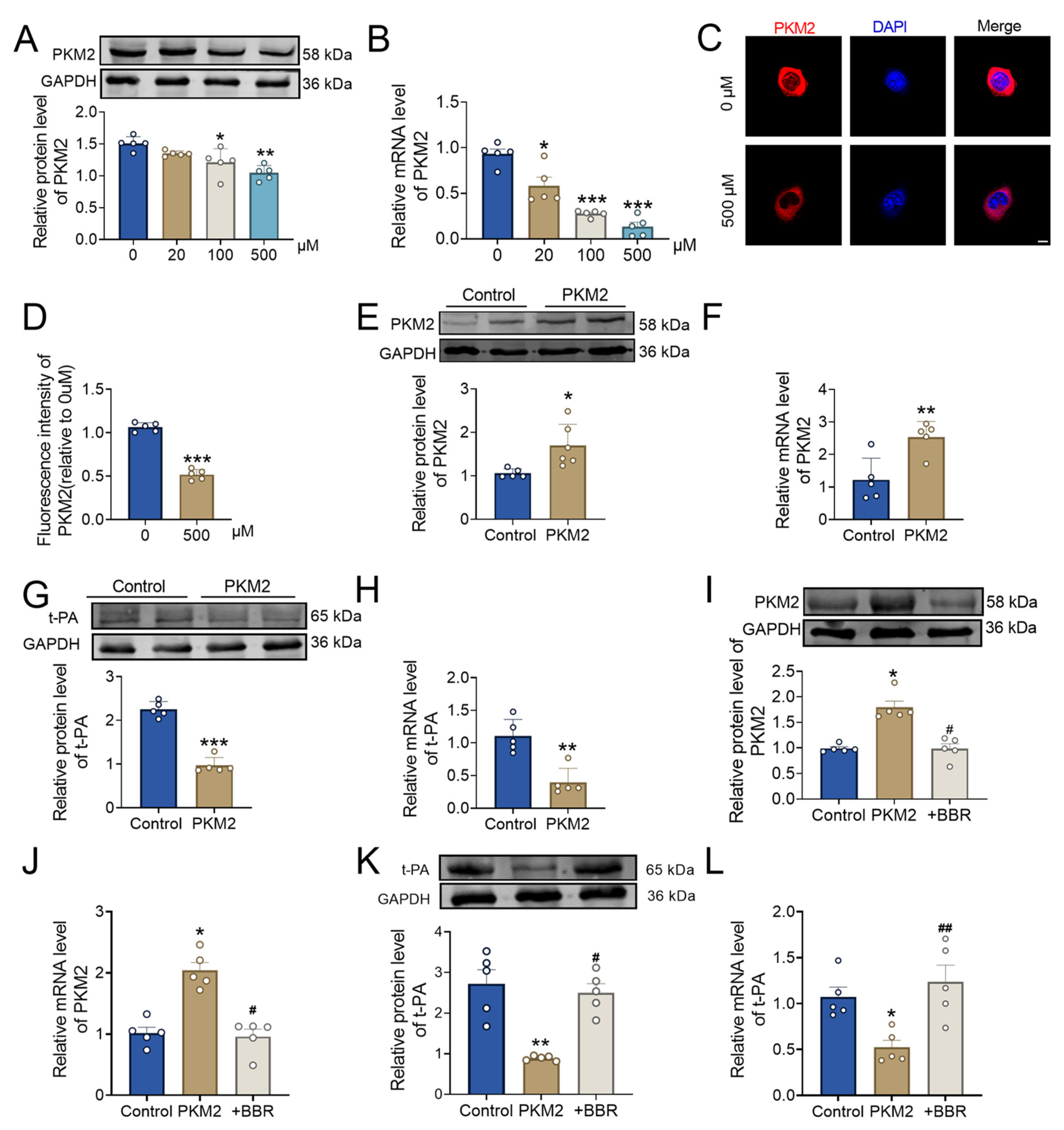 Pharmaceuticals 17 01219 g005 Pharmaceuticals 17 01219 g005