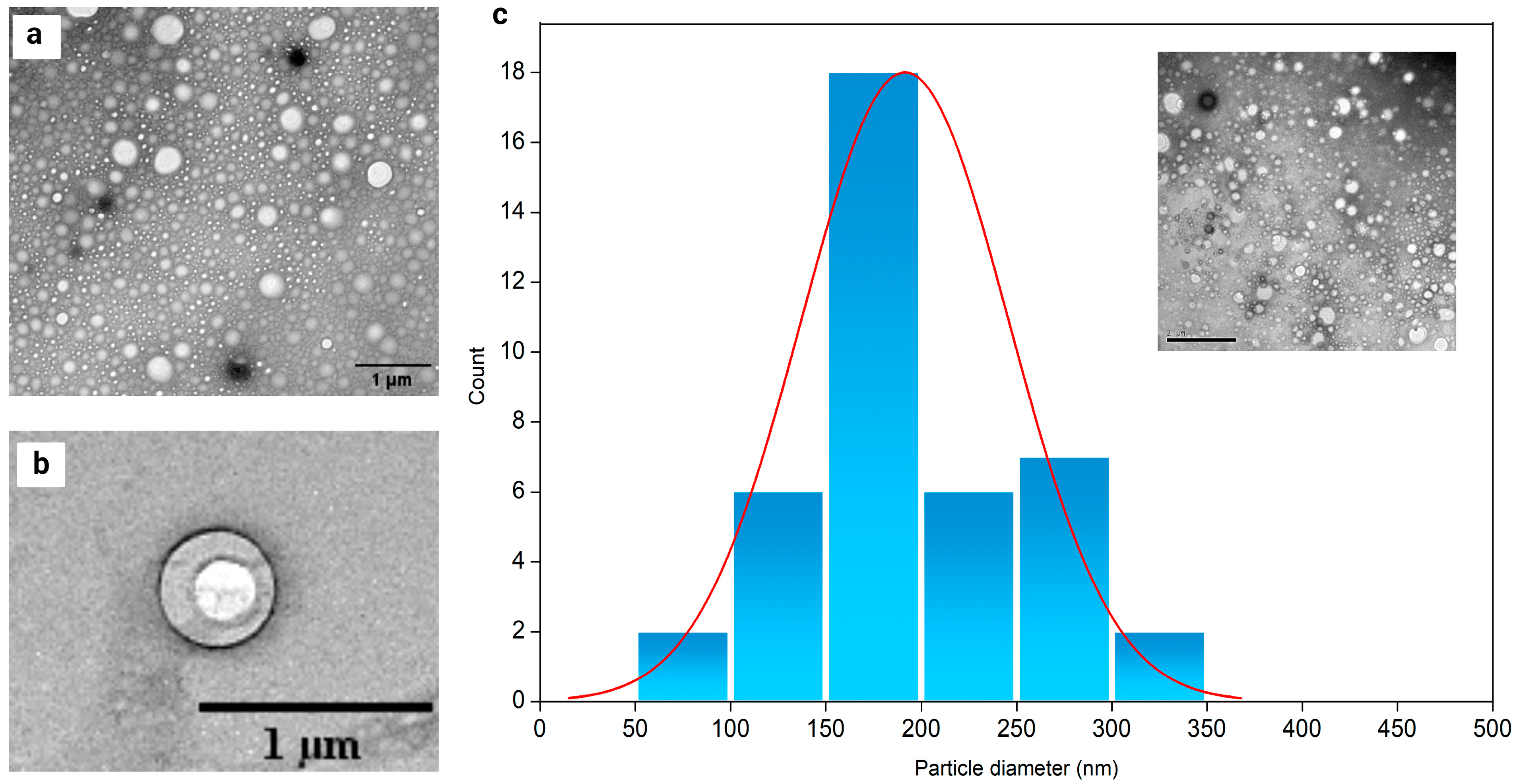 Pharmaceuticals 17 01220 g008