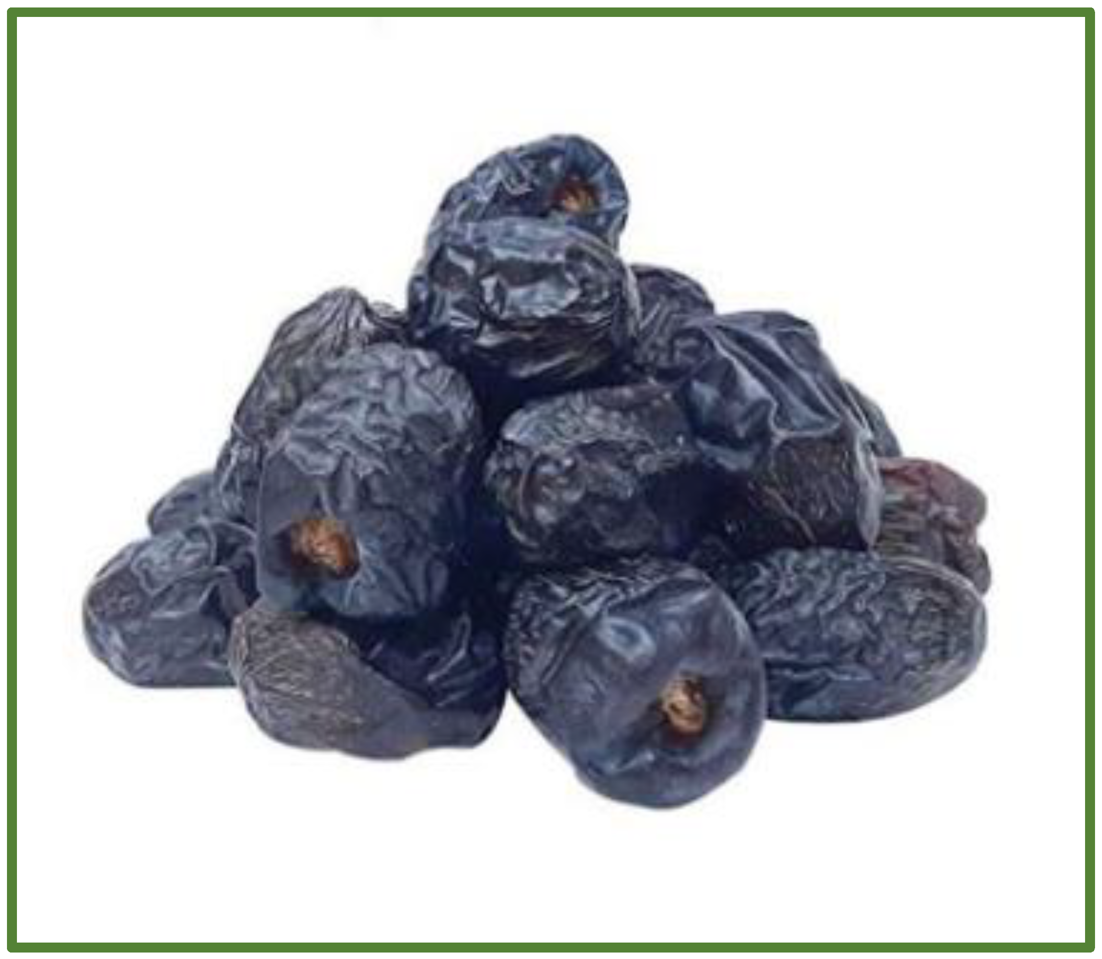 Pharmaceuticals 17 01221 g001