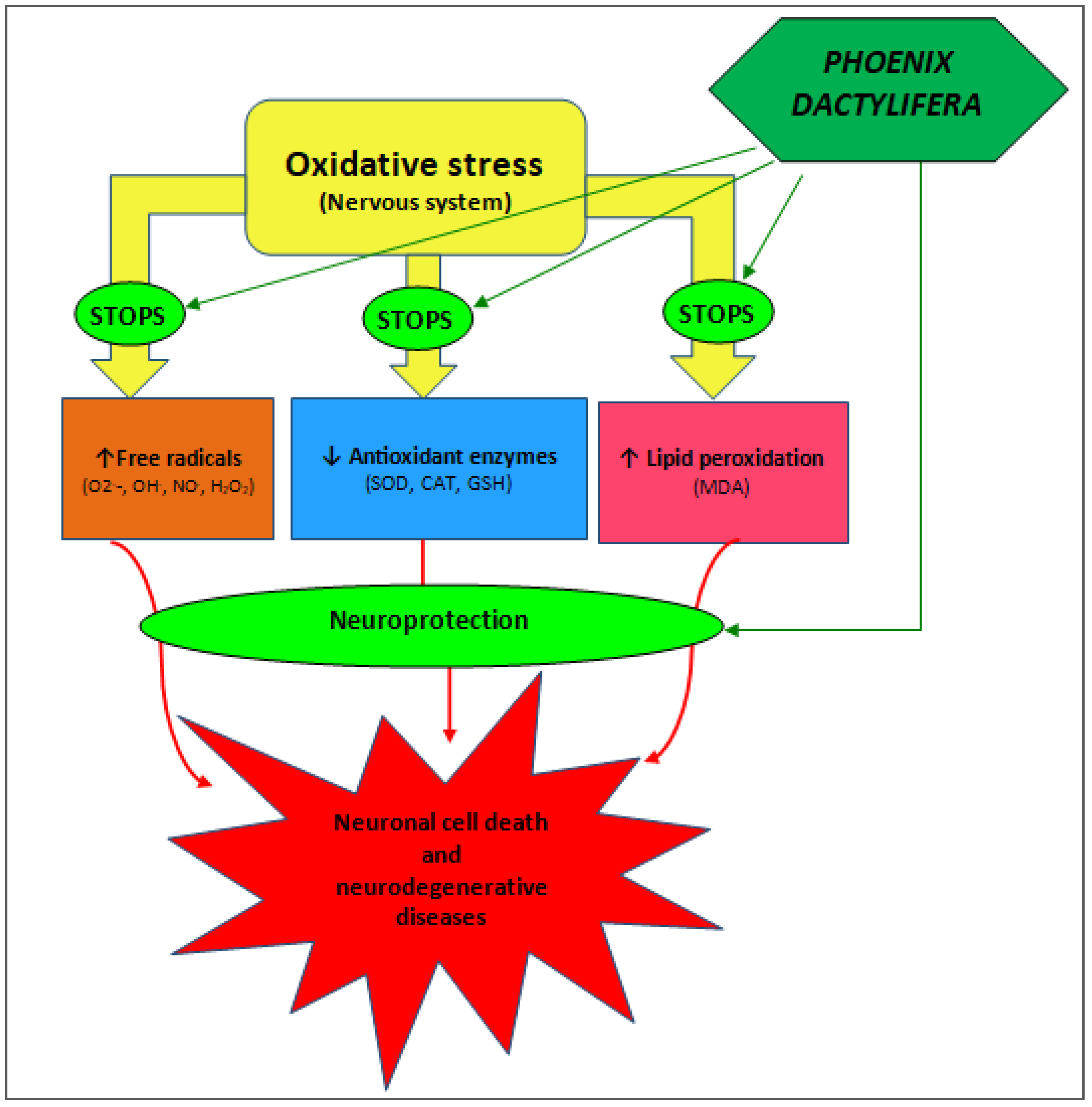 Pharmaceuticals 17 01221 g003