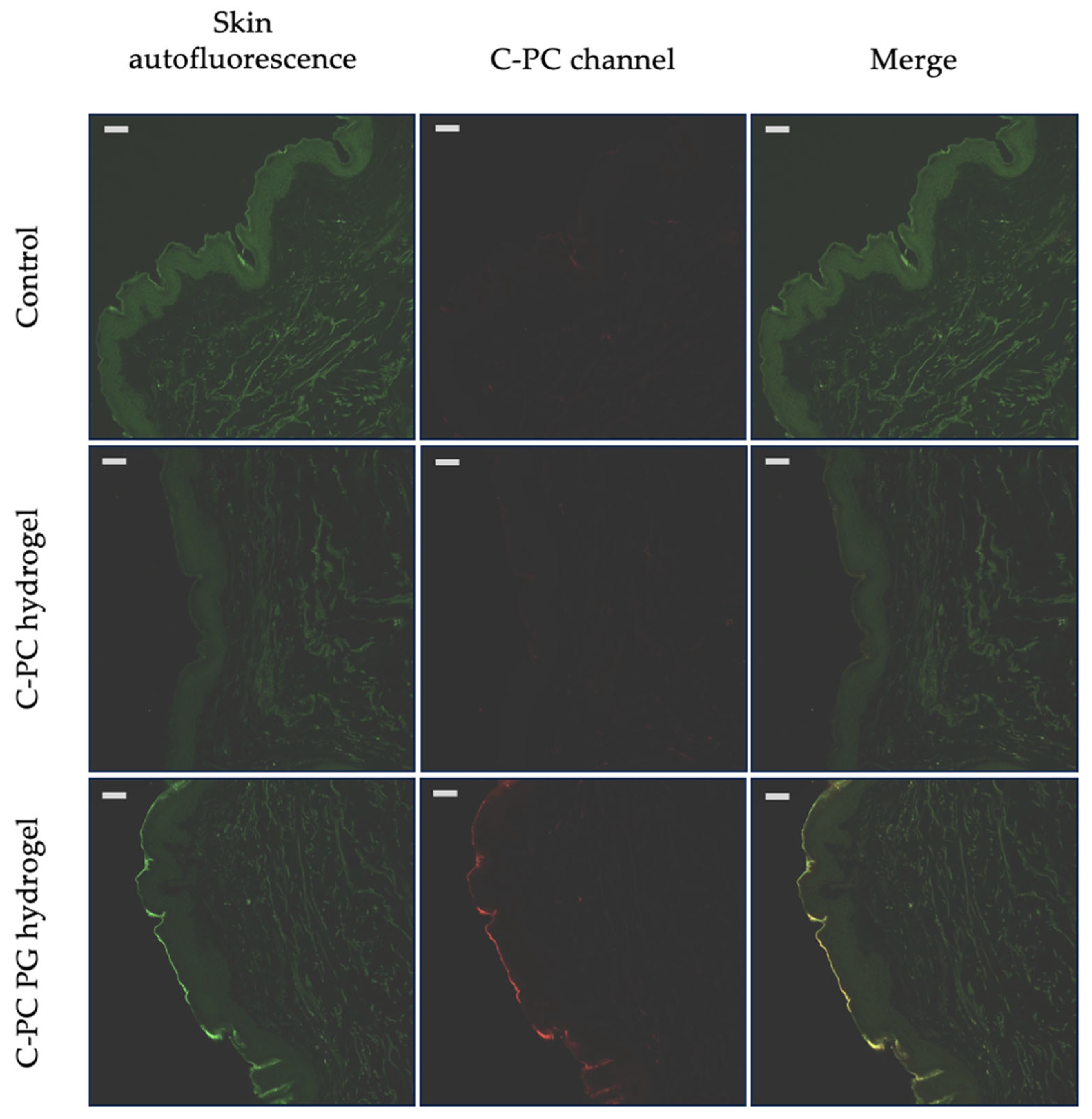 Pharmaceuticals 17 01224 g004