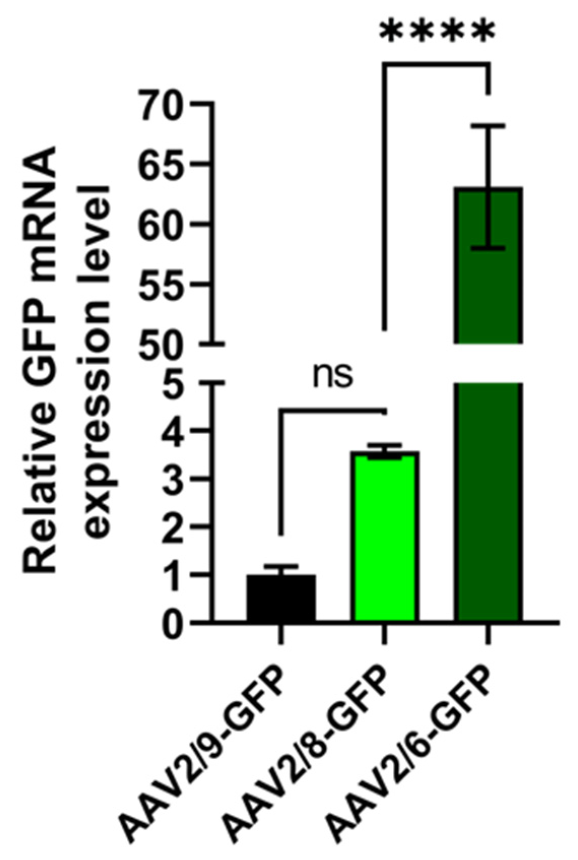 Pharmaceuticals 17 01227 g007