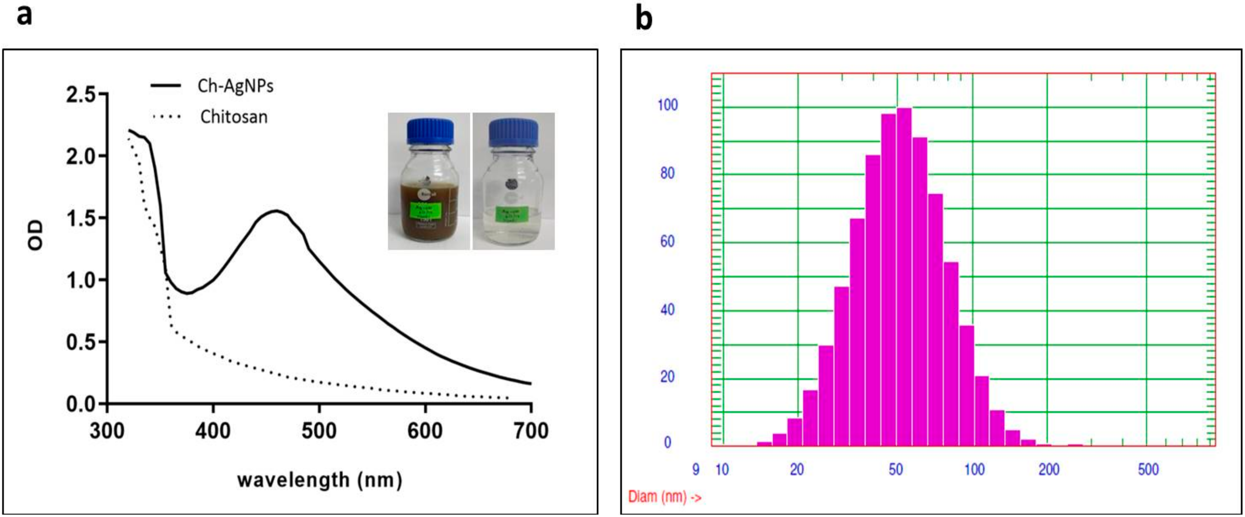 Pharmaceuticals 17 01229 g001