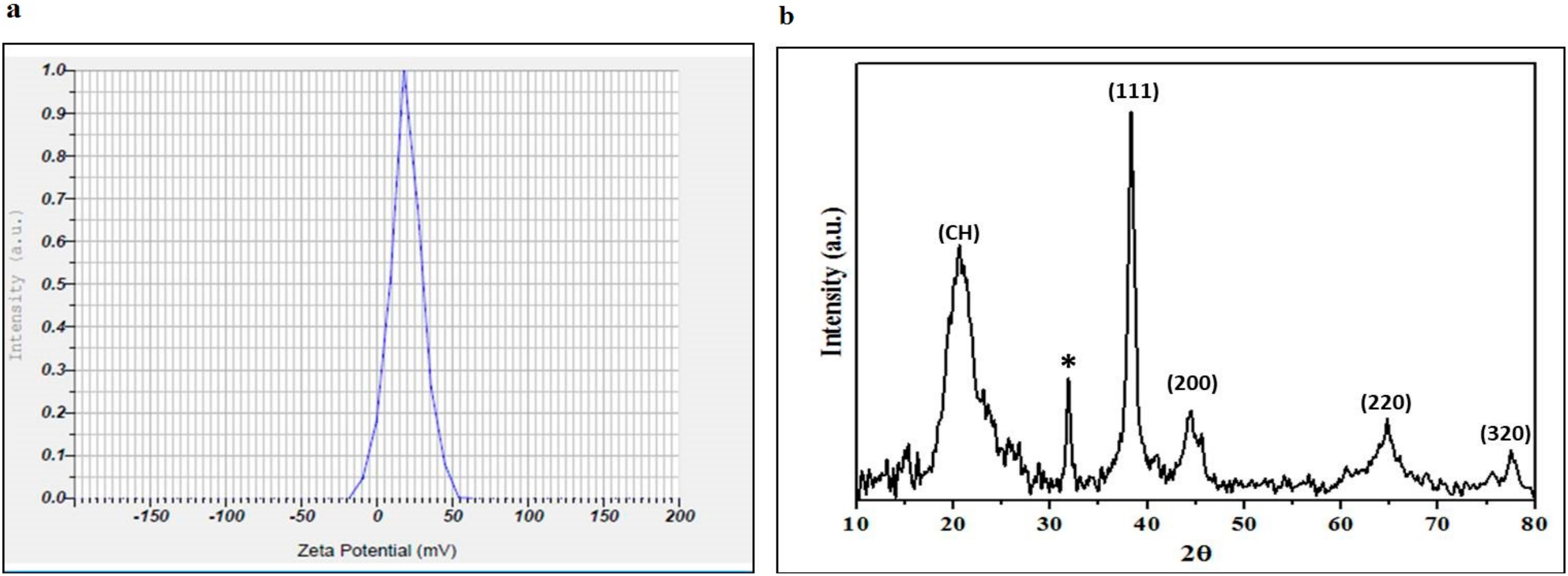 Pharmaceuticals 17 01229 g002