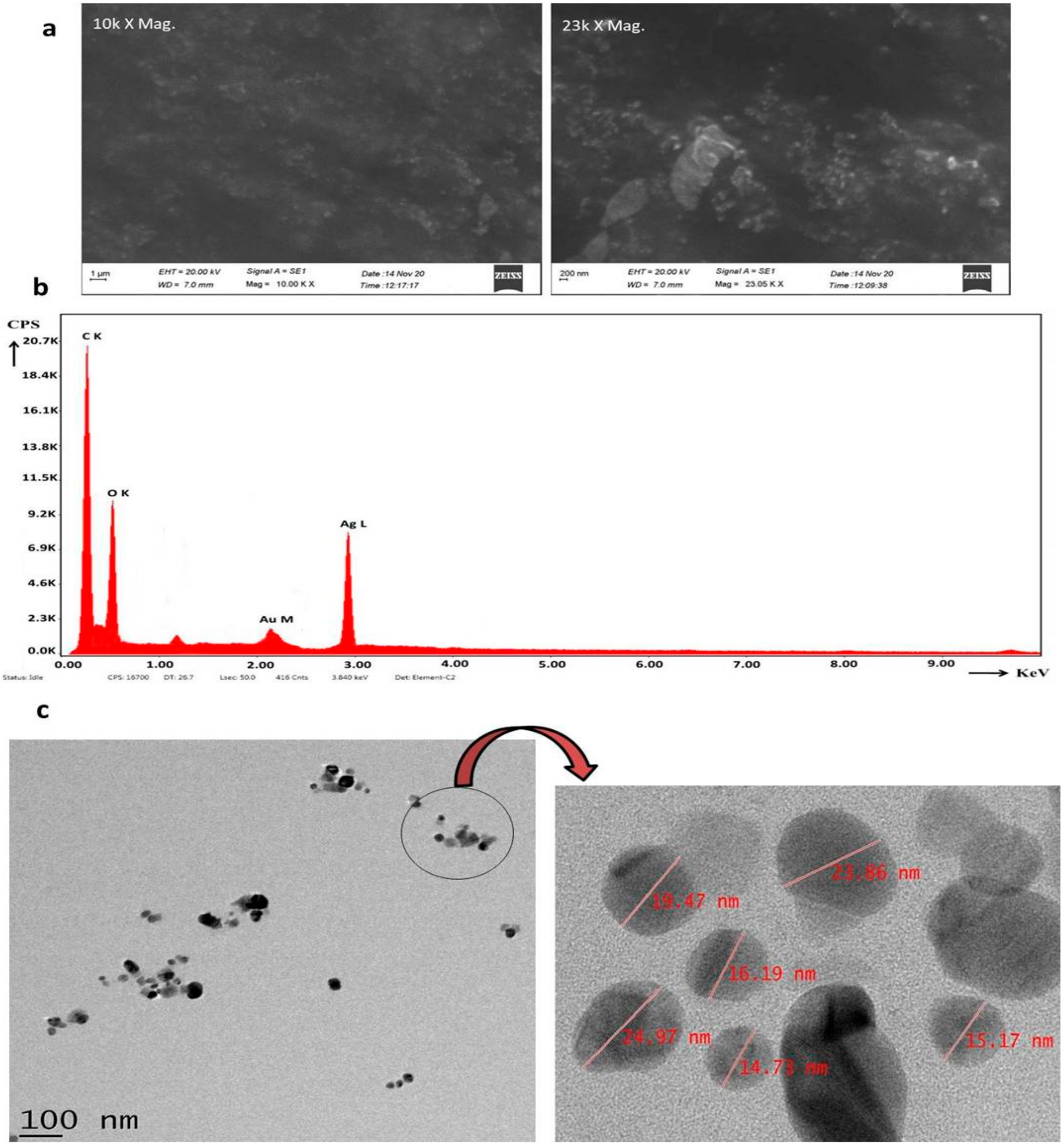 Pharmaceuticals 17 01229 g004