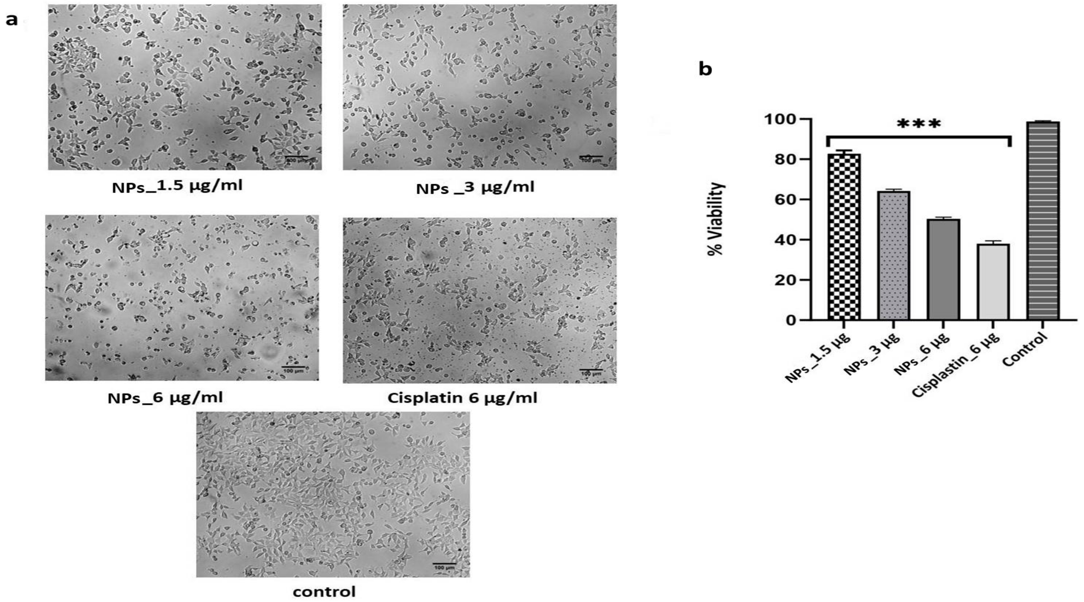 Pharmaceuticals 17 01229 g006