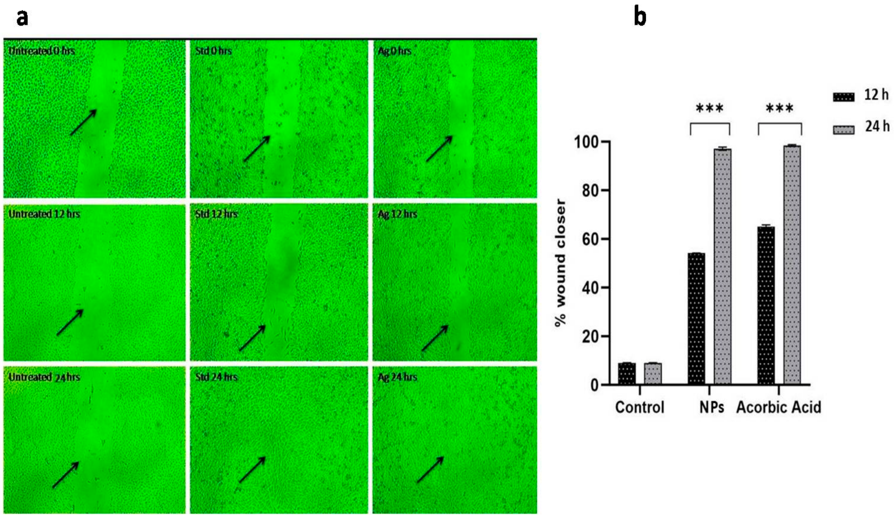 Pharmaceuticals 17 01229 g007
