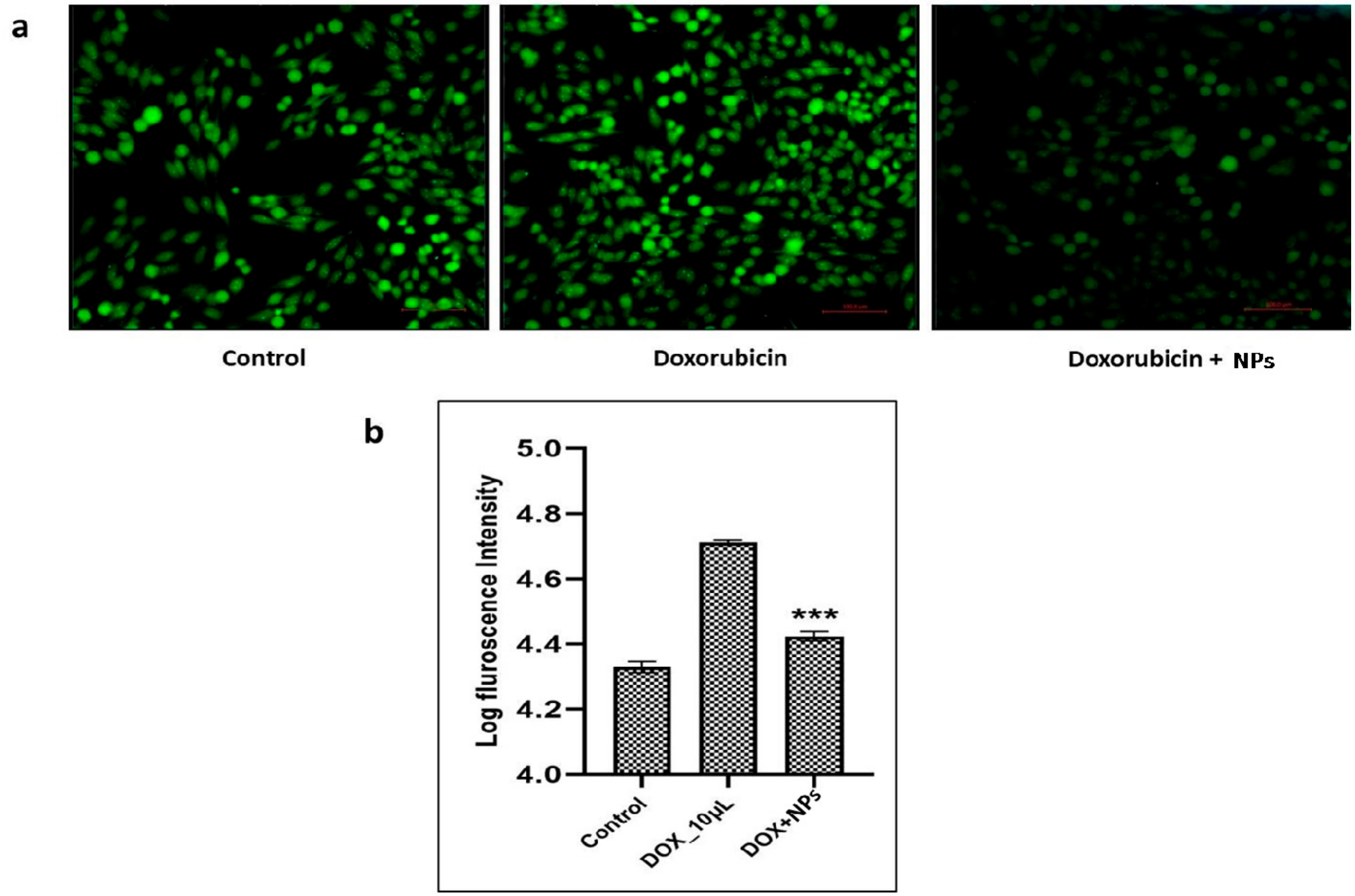 Pharmaceuticals 17 01229 g008