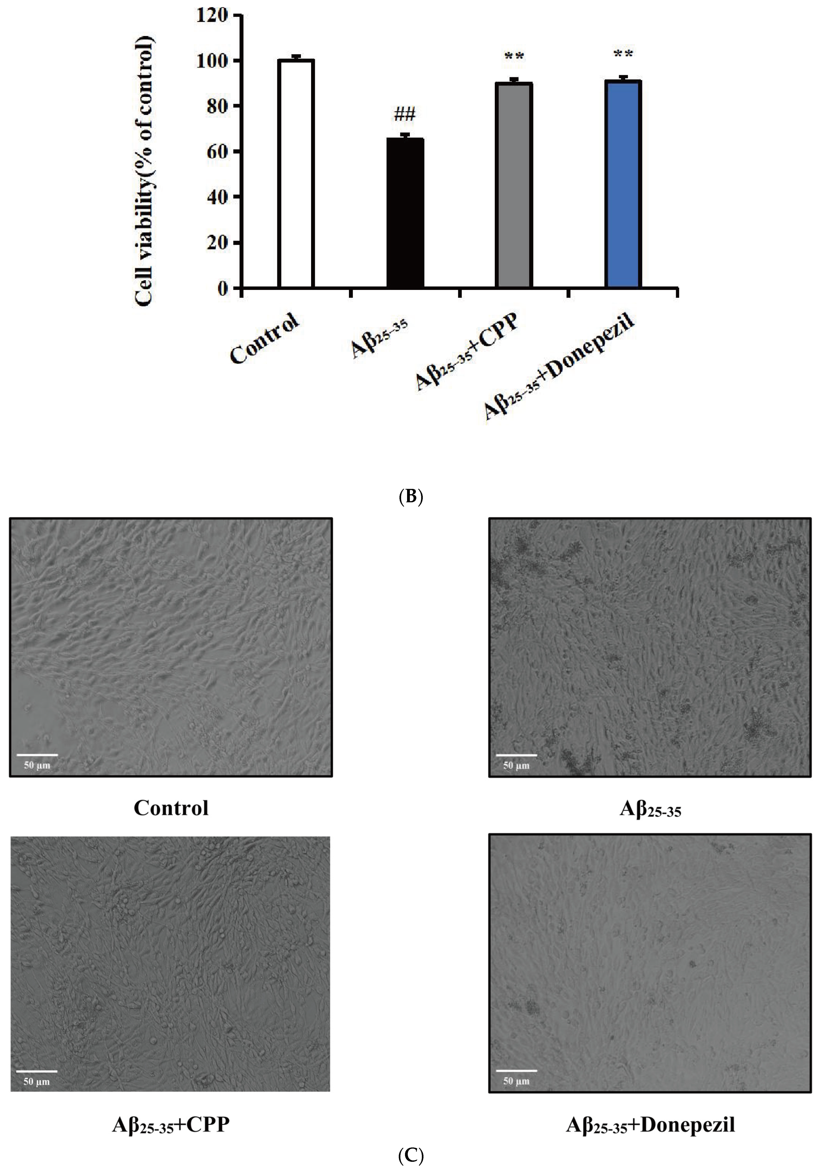 Pharmaceuticals 17 01231 g001b