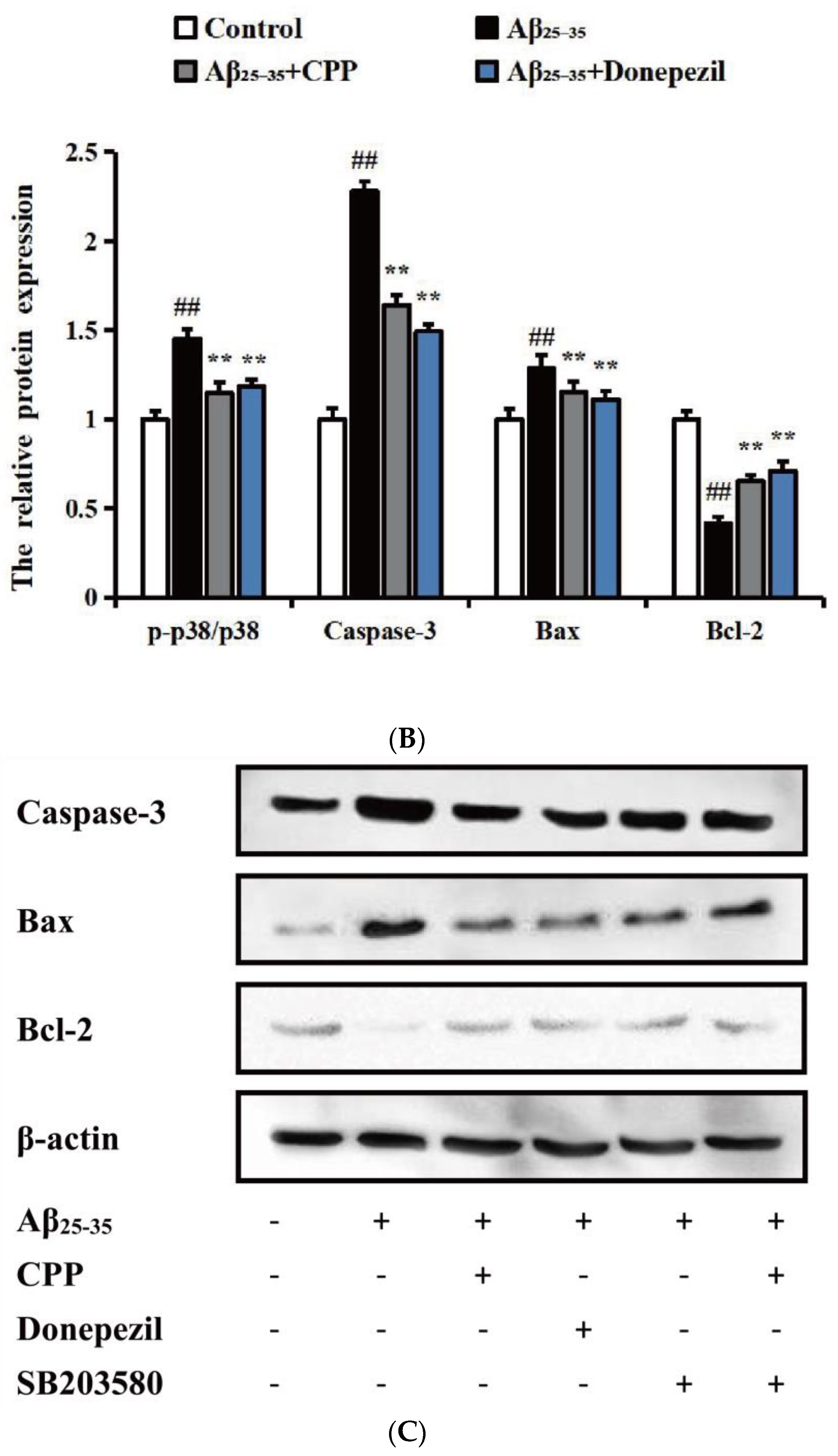 Pharmaceuticals 17 01231 g005b