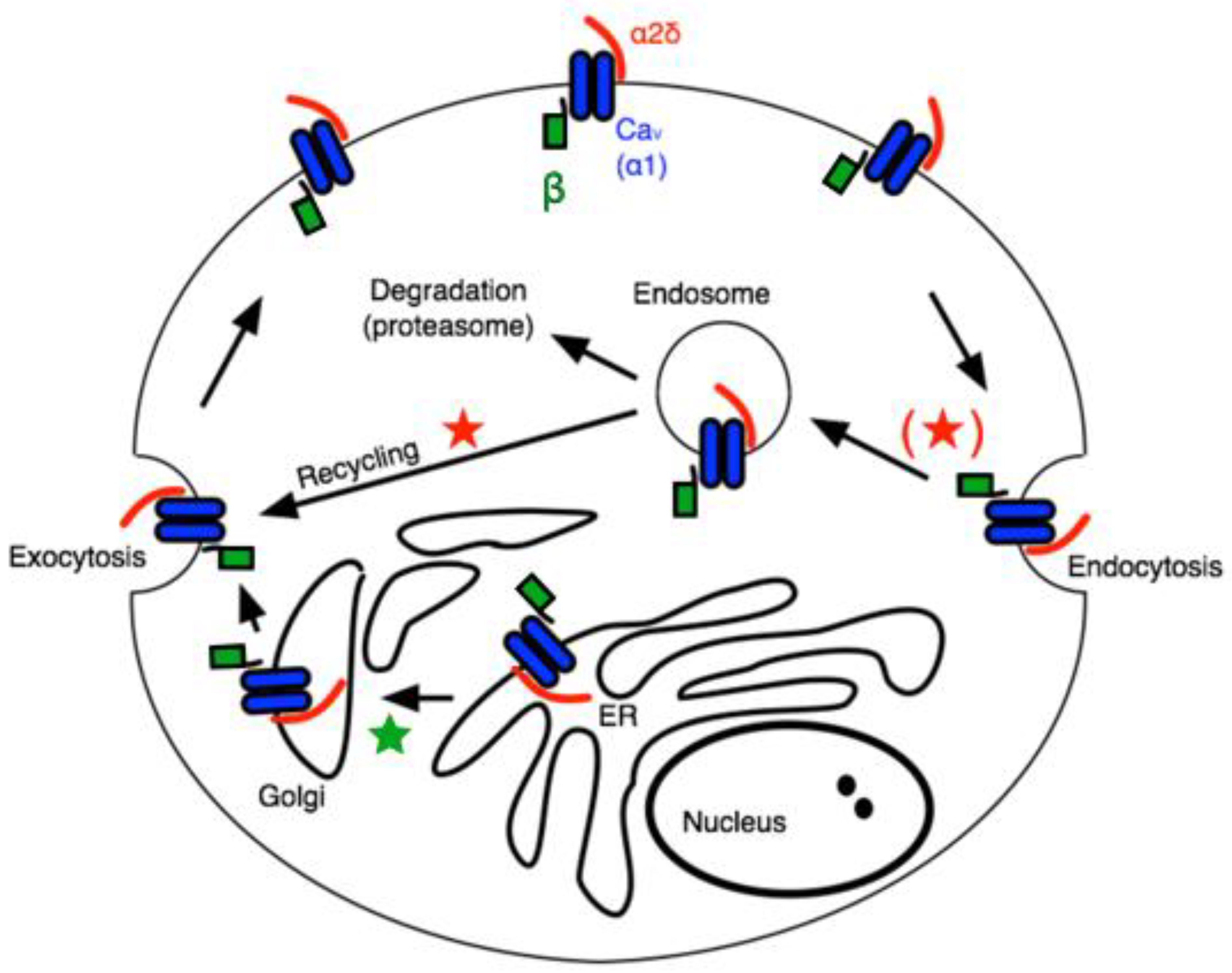 Pharmaceuticals 17 01237 g001 Pharmaceuticals 17 01237 g001