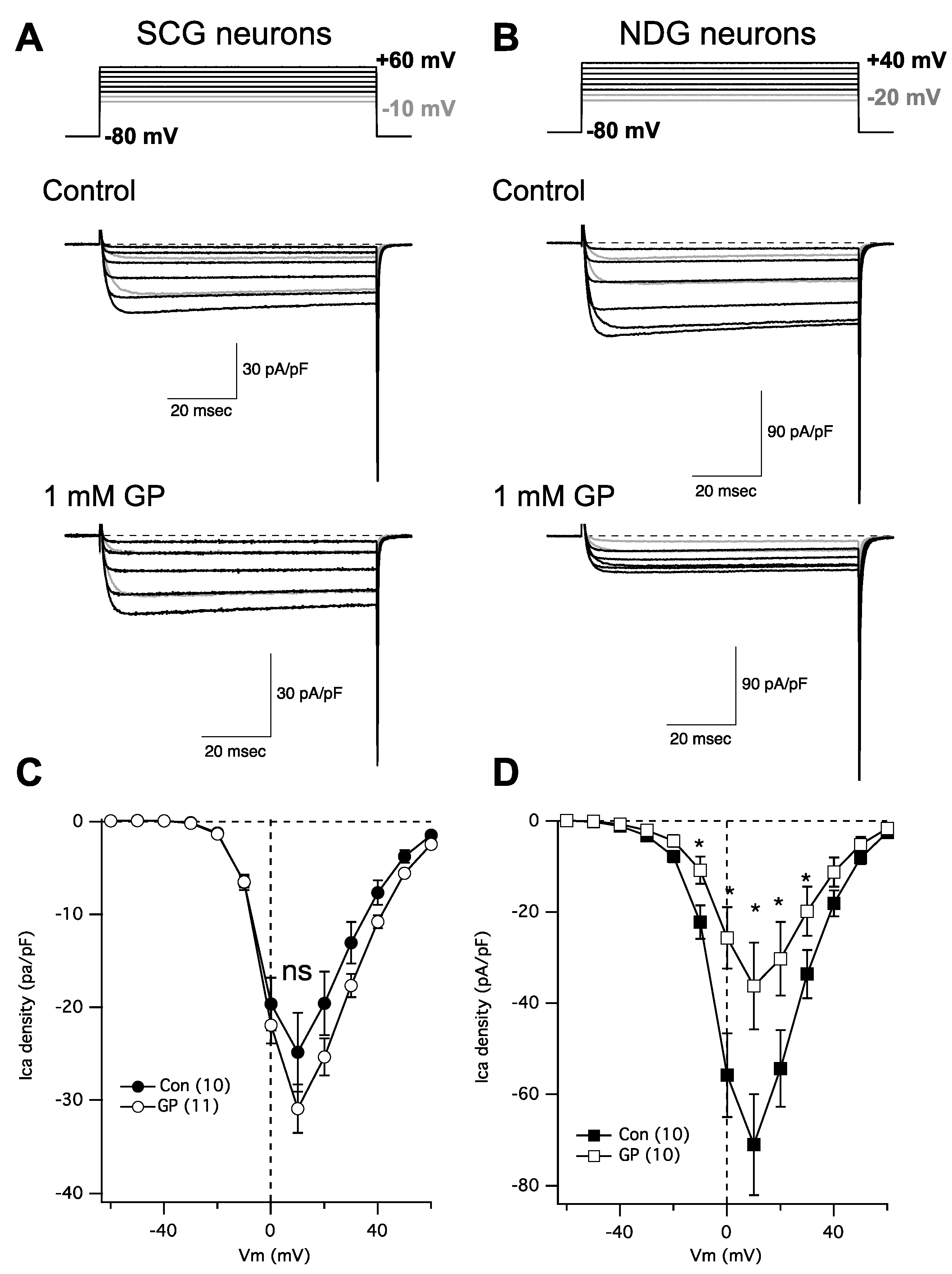 Pharmaceuticals 17 01237 g002 Pharmaceuticals 17 01237 g002