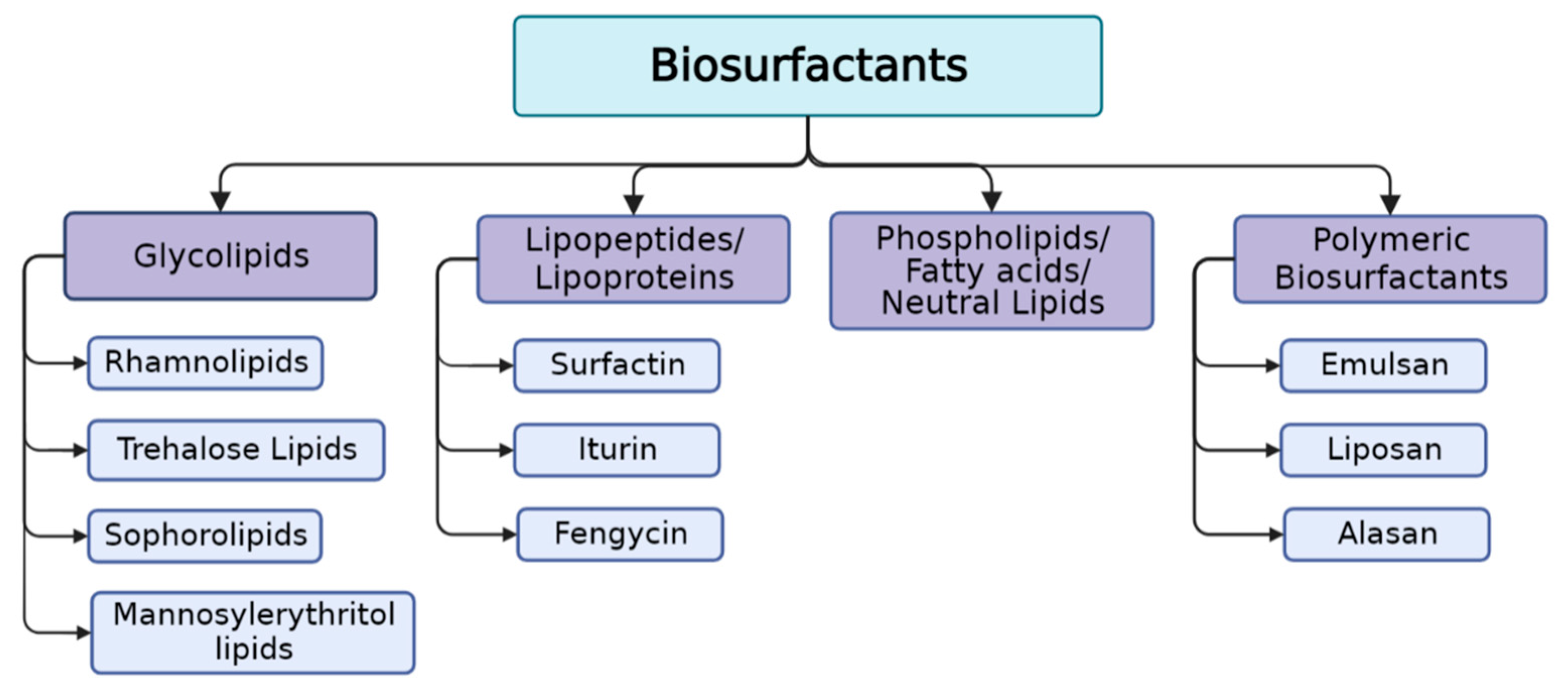 Pharmaceuticals 17 01239 g002