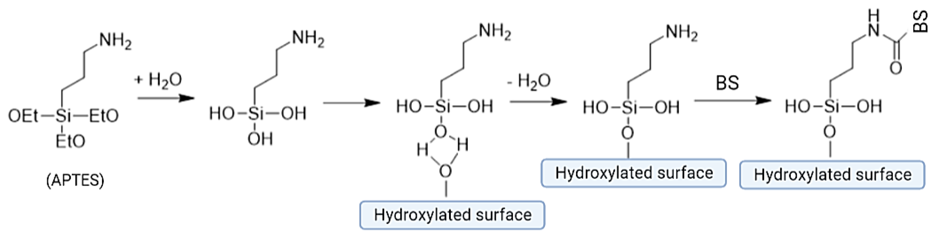 Pharmaceuticals 17 01239 g005