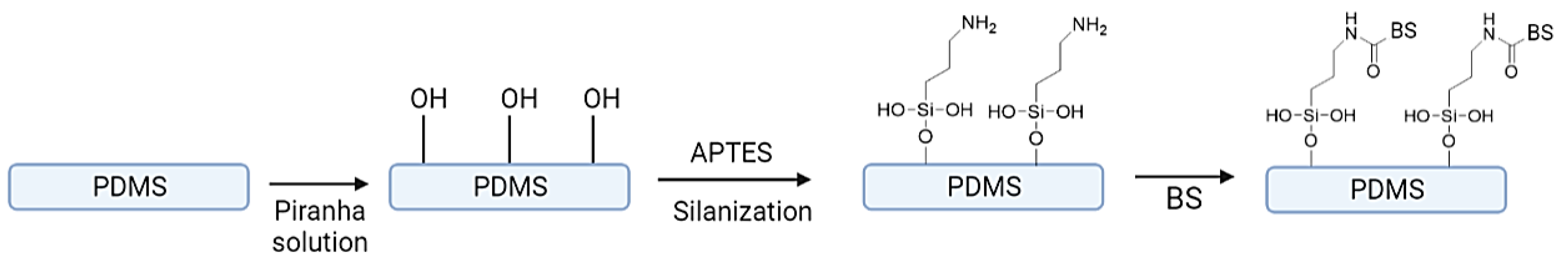 Pharmaceuticals 17 01239 g006