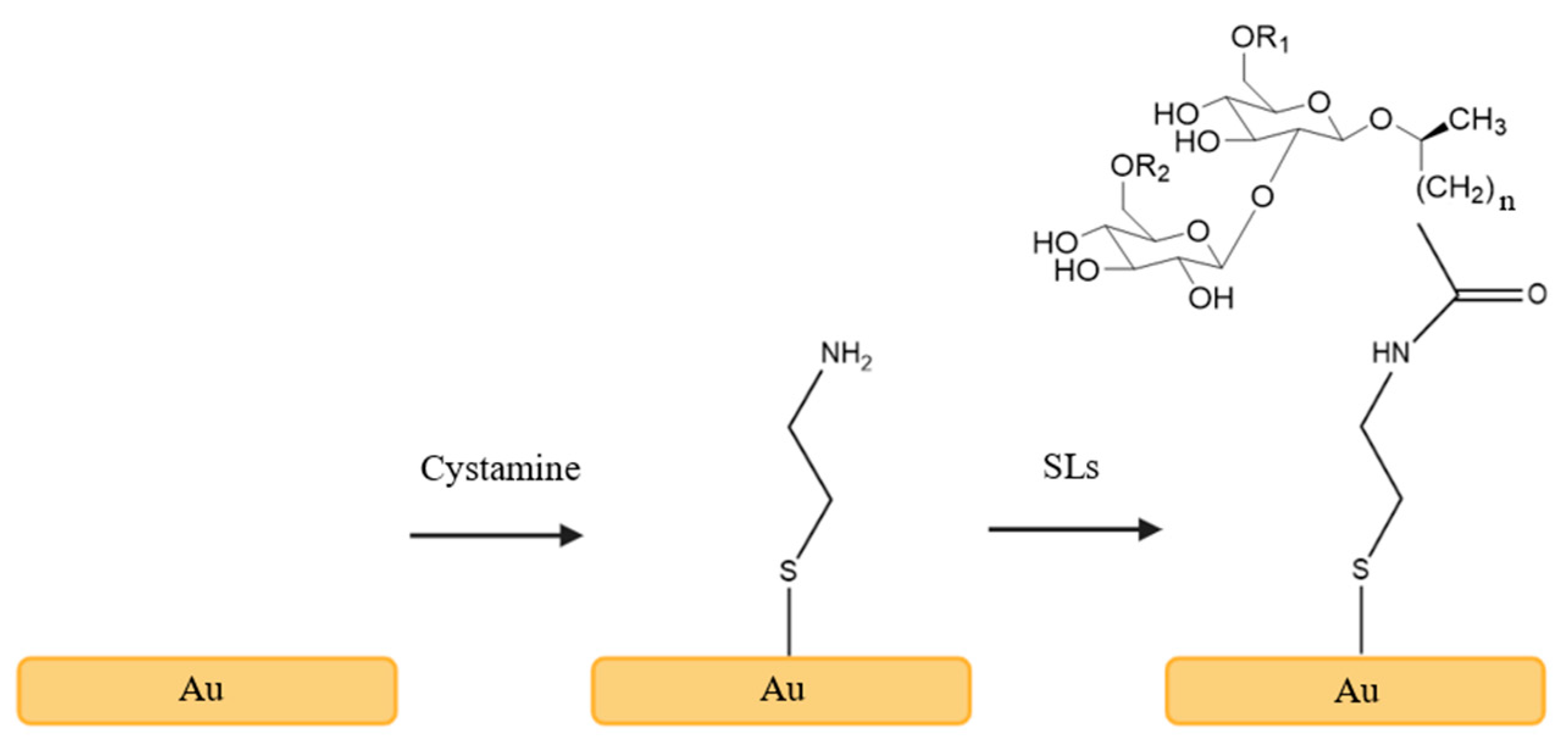 Pharmaceuticals 17 01239 g007