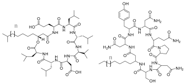 Pharmaceuticals 17 01239 i005