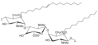 Pharmaceuticals 17 01239 i007