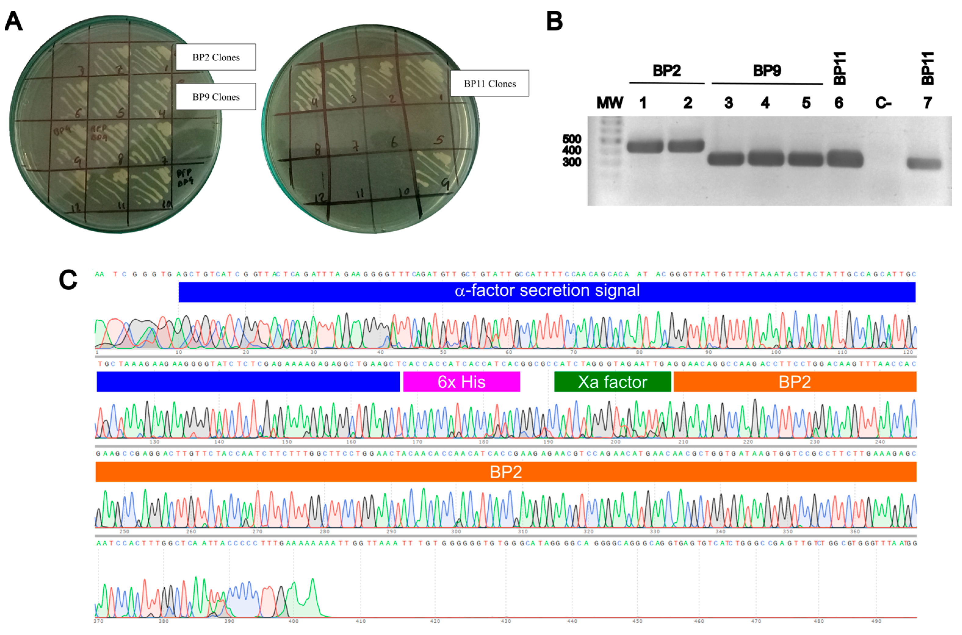 Pharmaceuticals 17 01240 g002