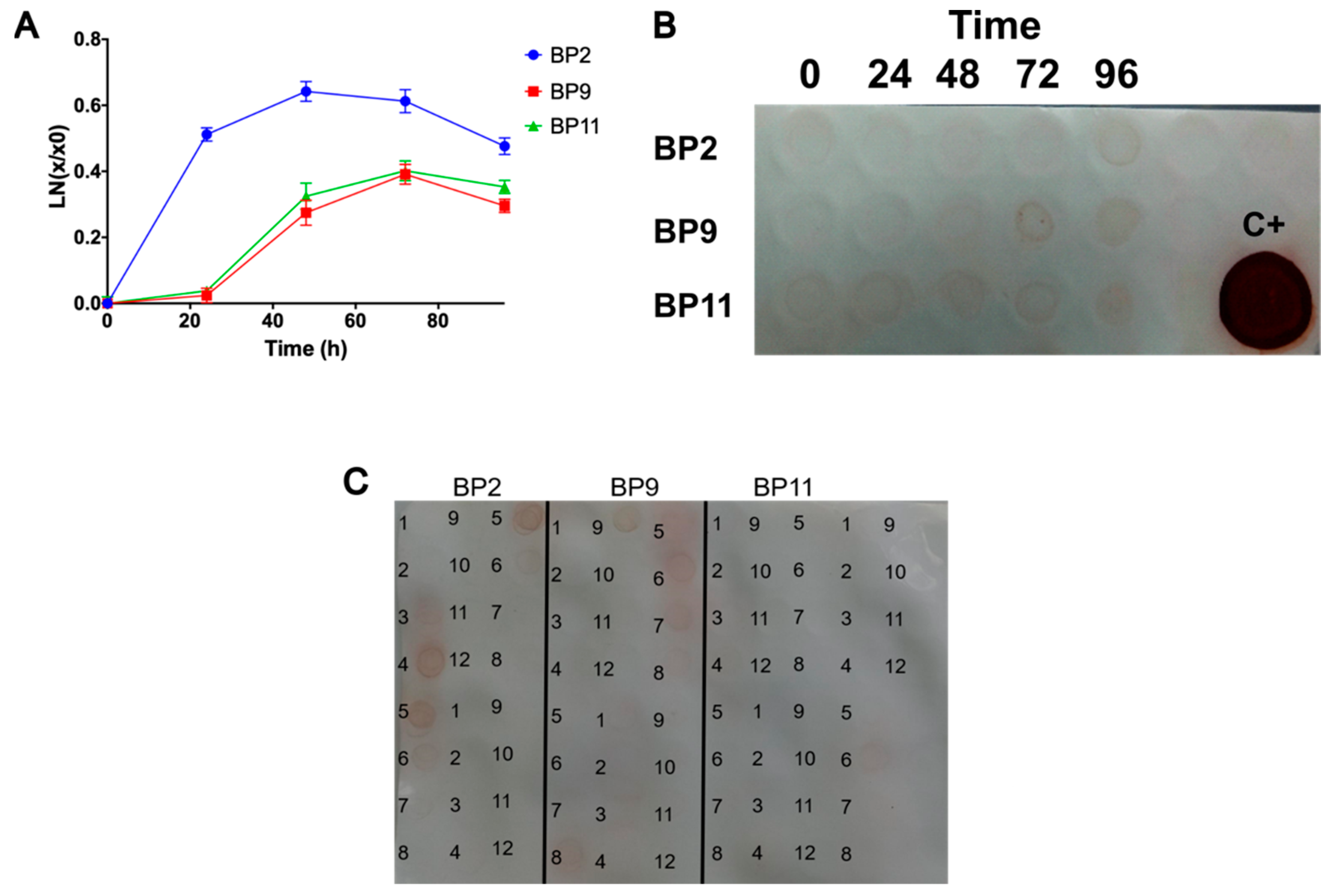 Pharmaceuticals 17 01240 g004