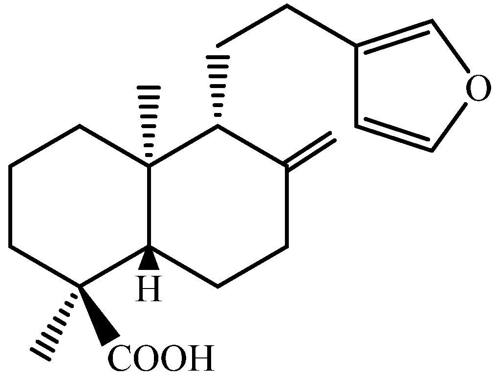 Pharmaceuticals 17 01243 g001