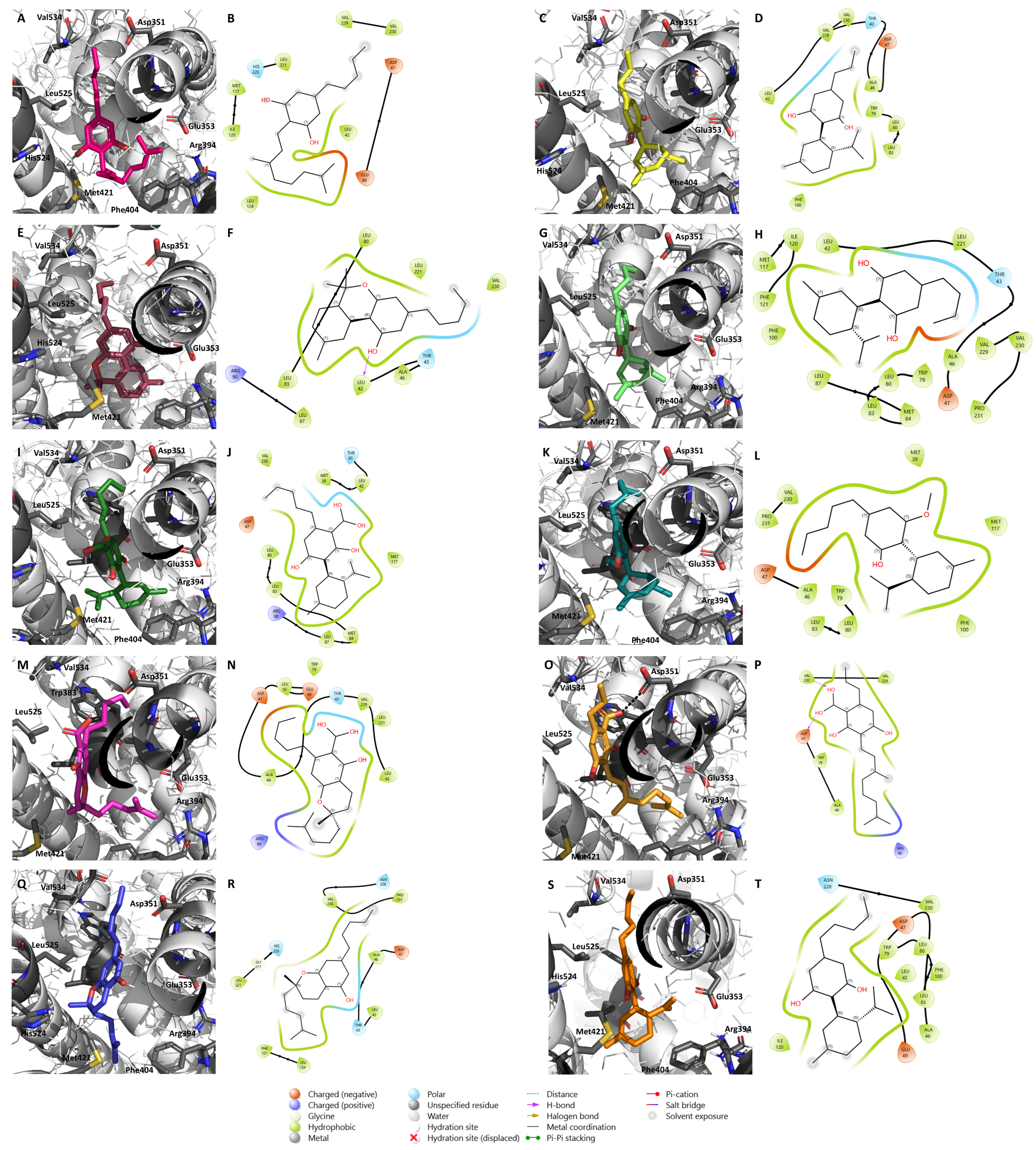 Pharmaceuticals 17 01245 g004