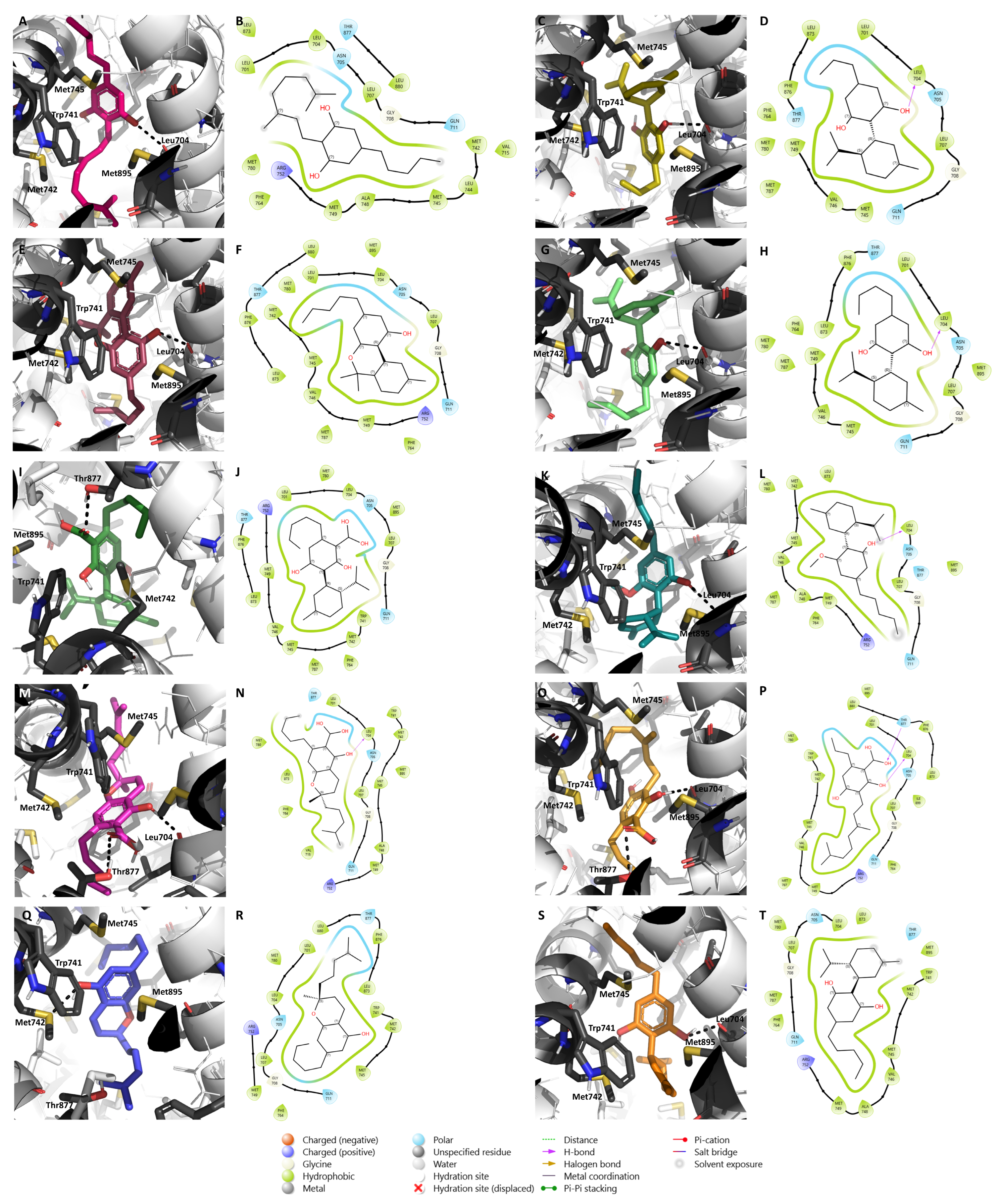 Pharmaceuticals 17 01245 g006