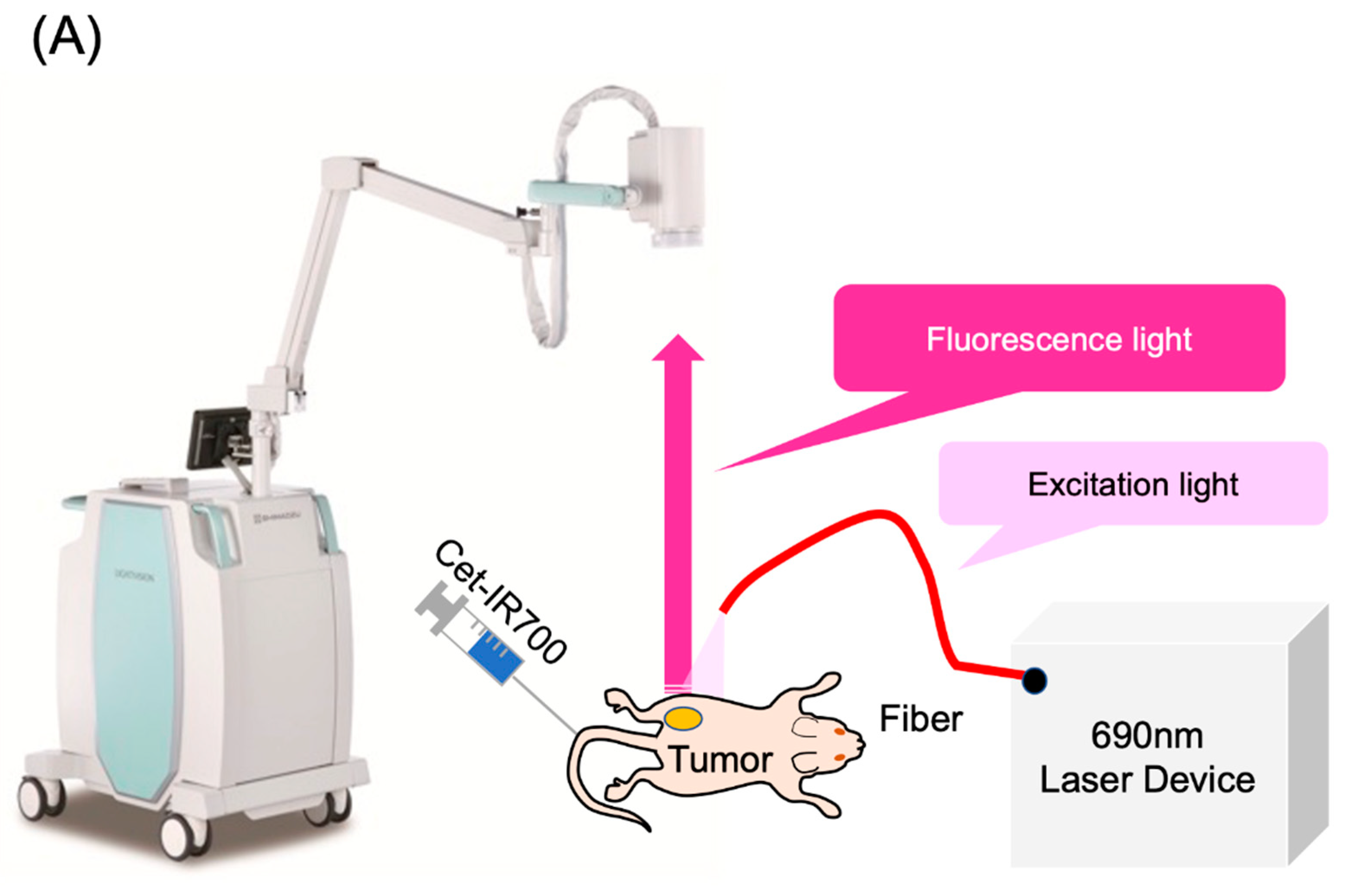 Pharmaceuticals 17 01246 g002a