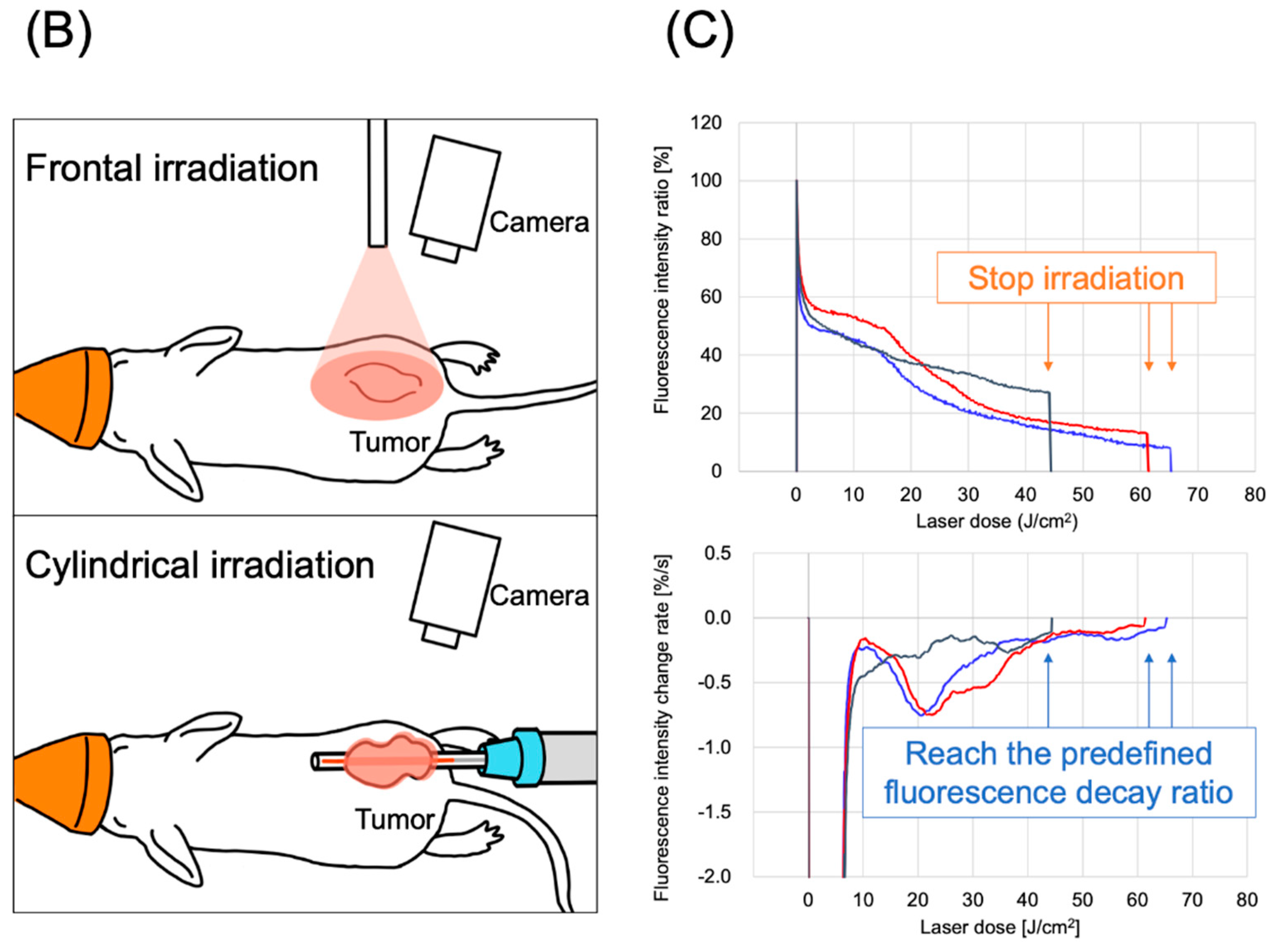 Pharmaceuticals 17 01246 g002b
