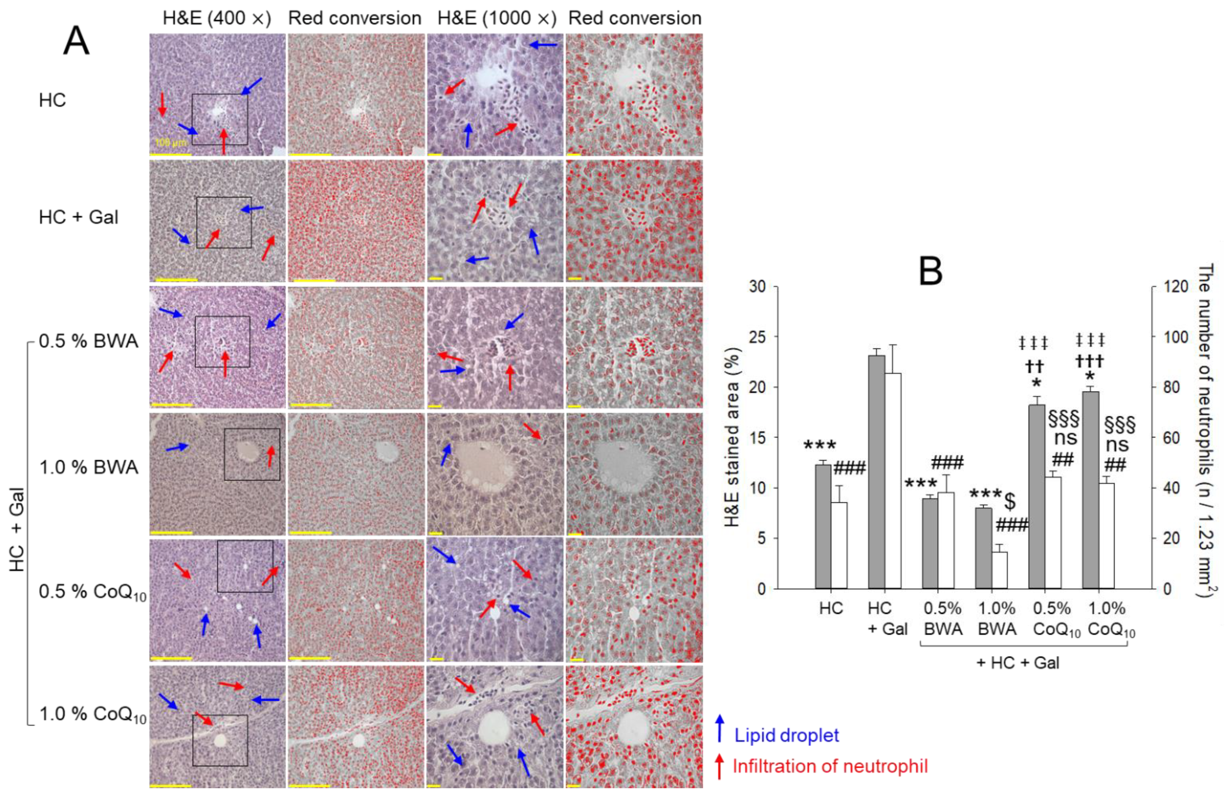 Pharmaceuticals 17 01250 g004