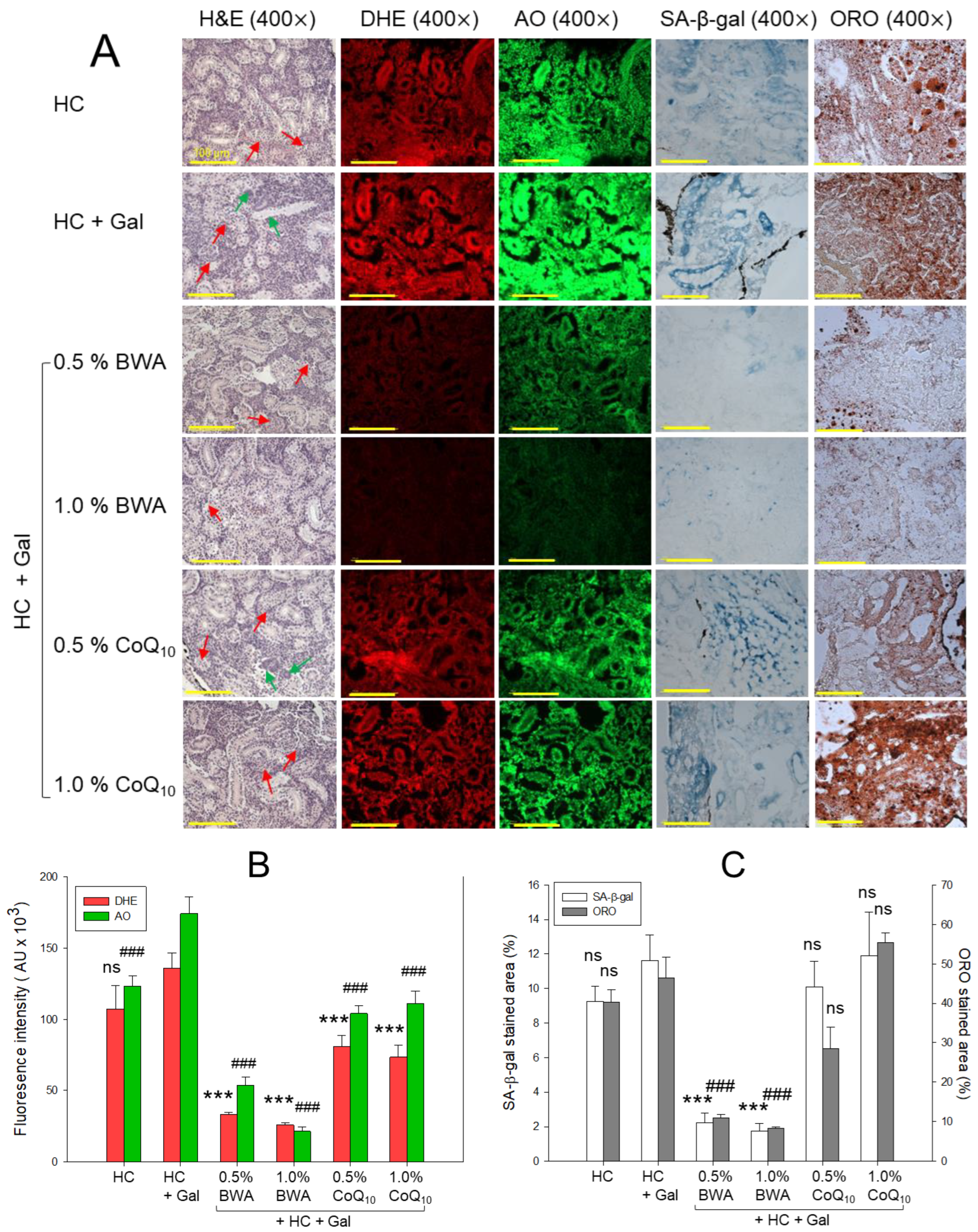 Pharmaceuticals 17 01250 g007