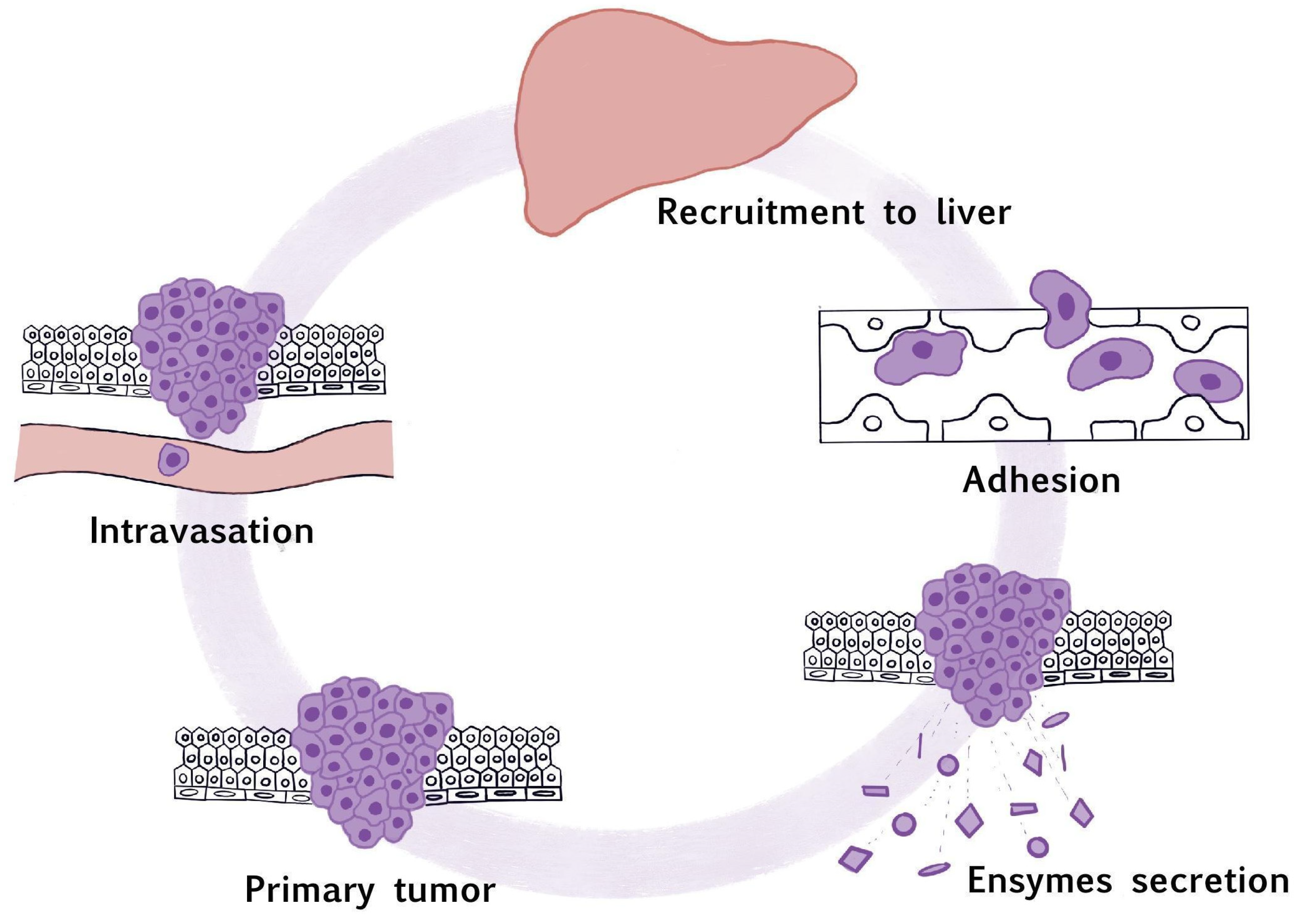 Pharmaceuticals 17 01251 g002